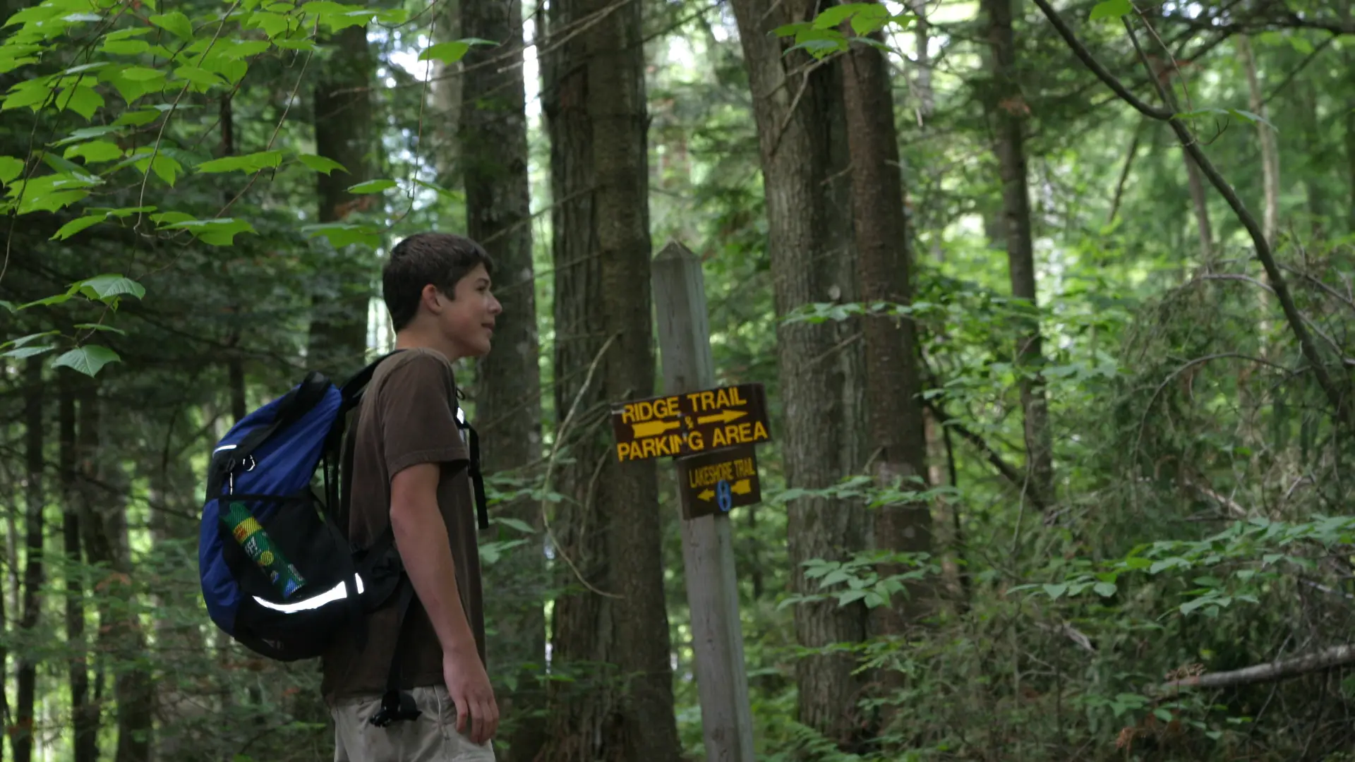 Well marked trails which circle back to the trailhead.