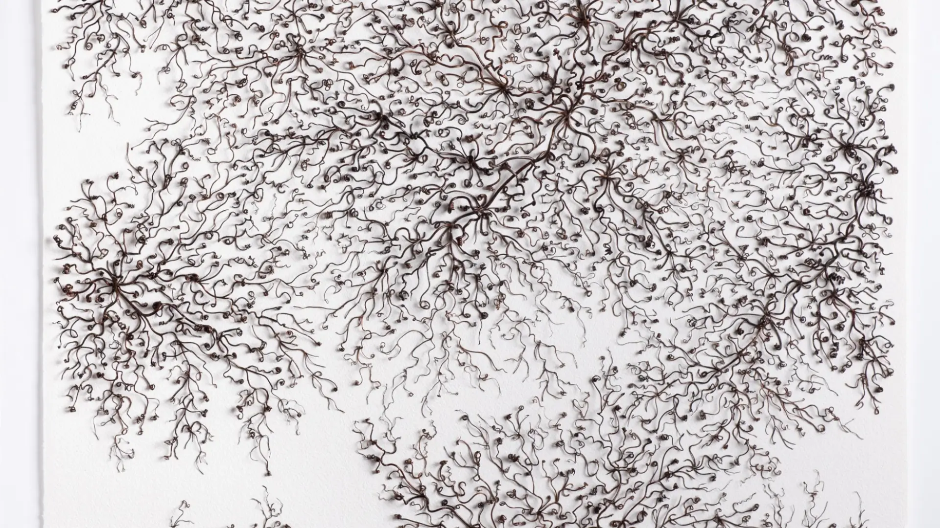 Swirling pattern made from unknown natural material