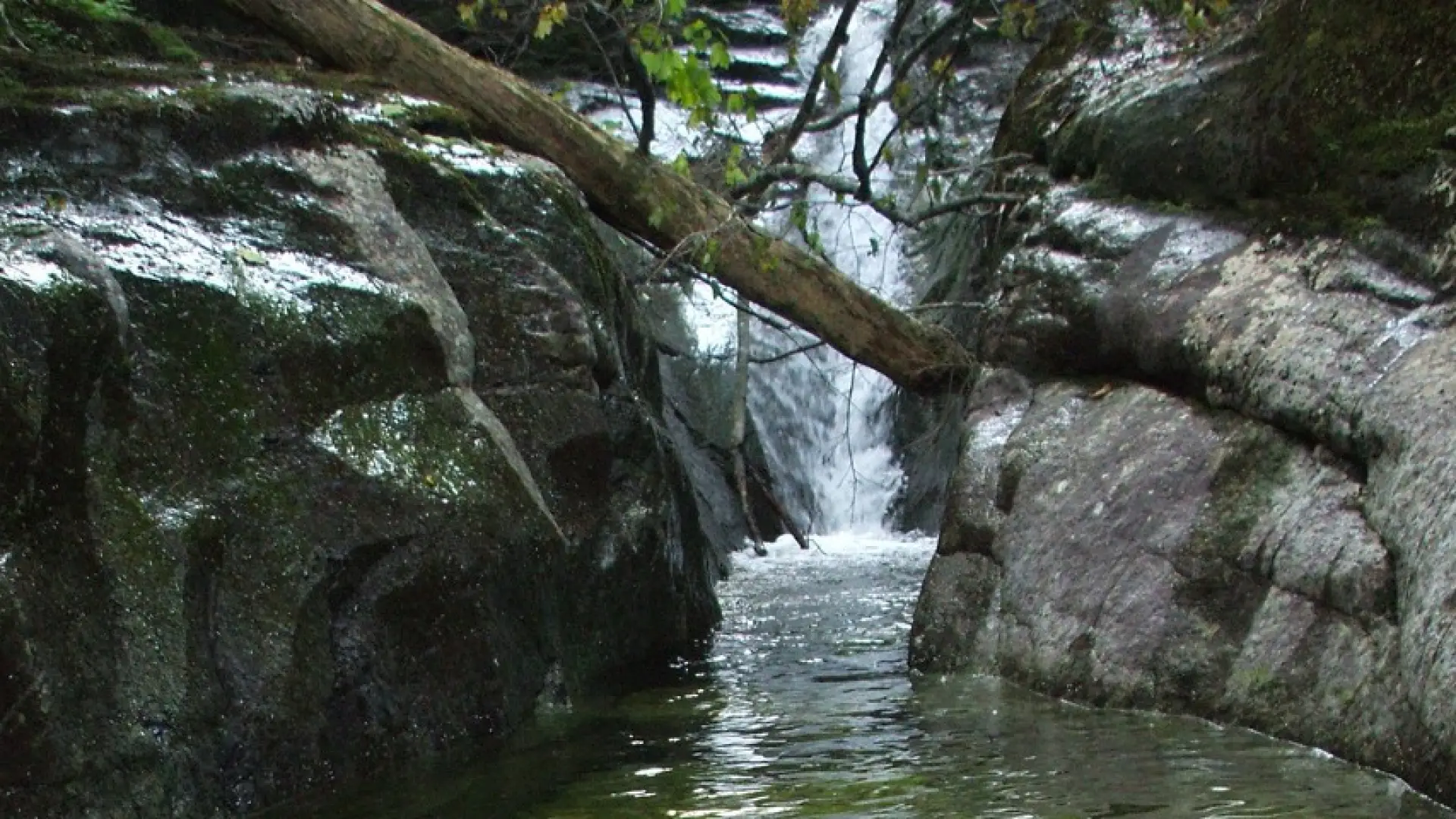 Beautiful water features on the trail to Mount Colvin.