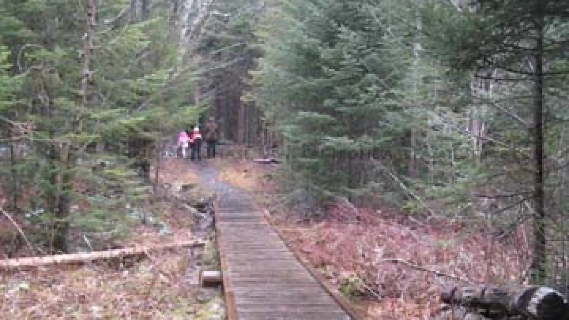 Boardwalk at Adirondack Loj