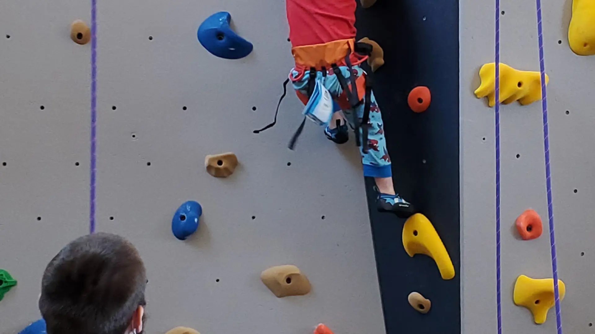 Close up of climbing wall