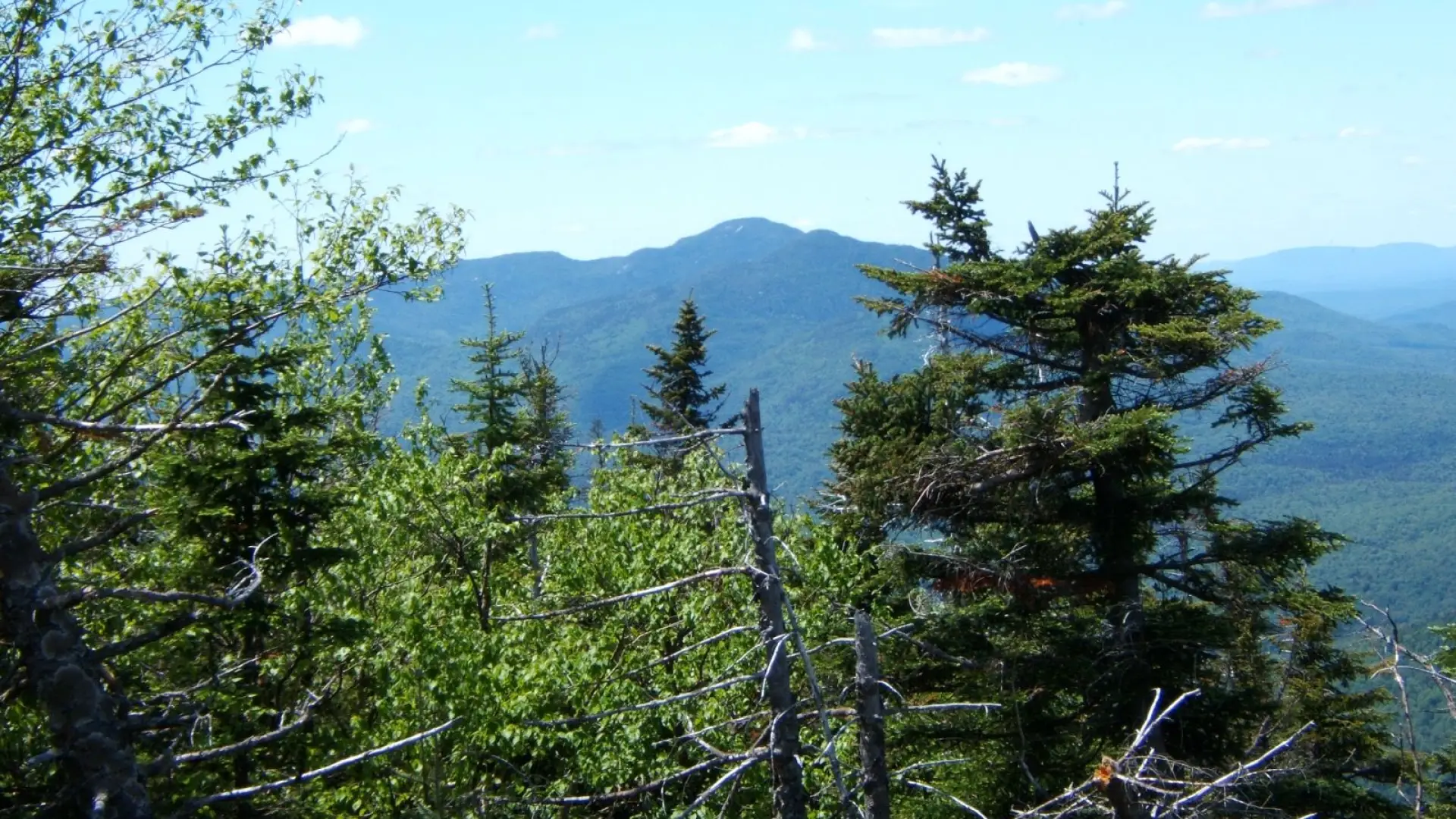 View from near summit