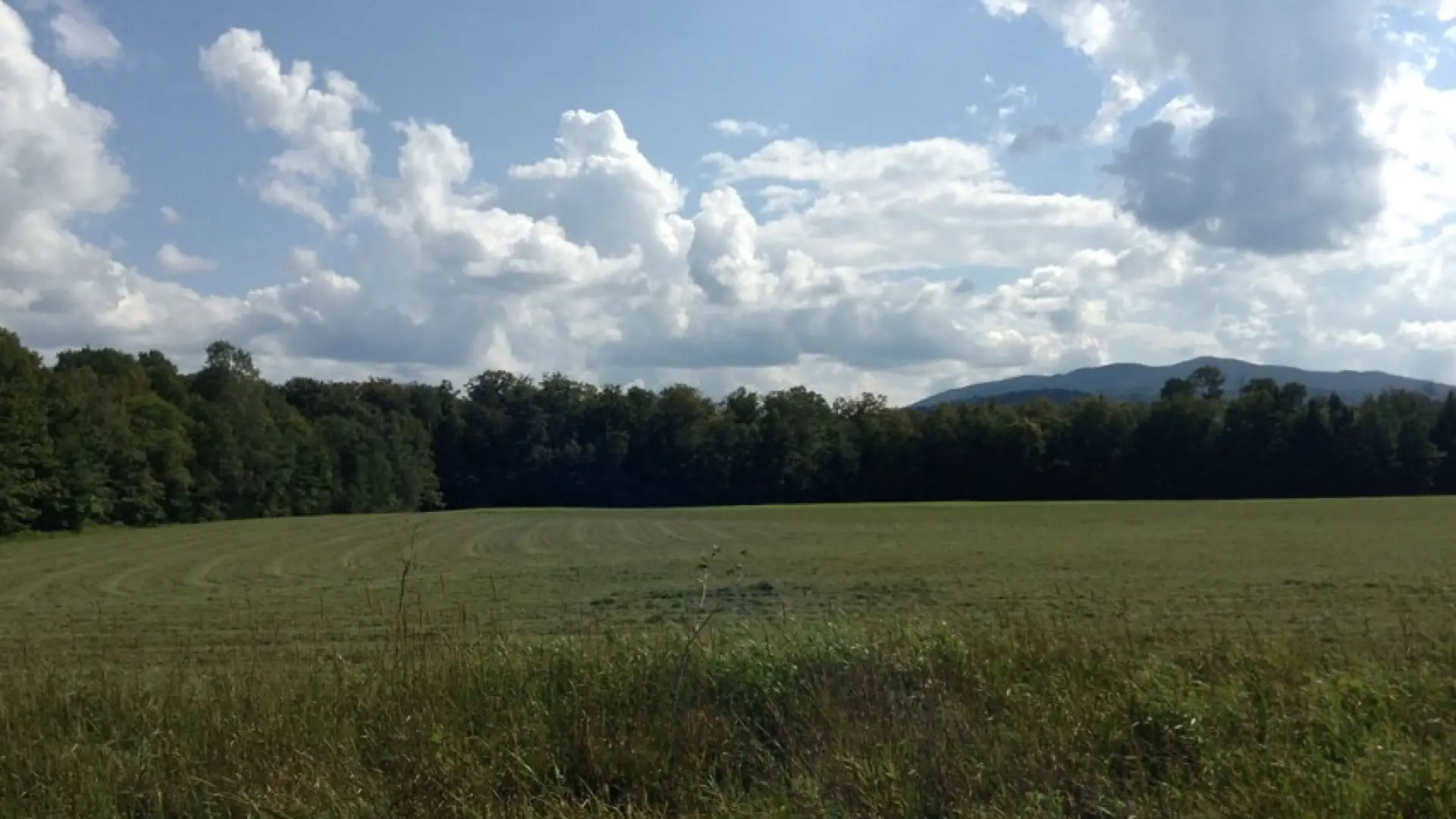 Near the Cornell Uihlein Sugar Maple Research/Extension Field Station.