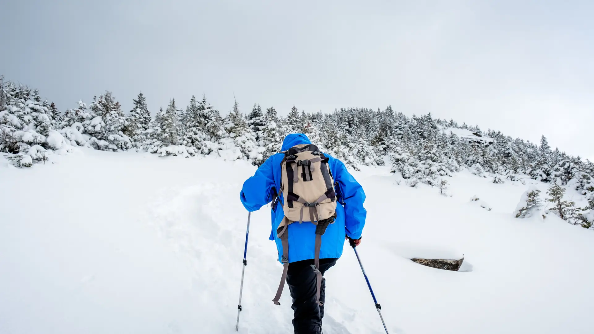 A person climbs a white snowy mountain with outdoor winter gear on and walking sticks.