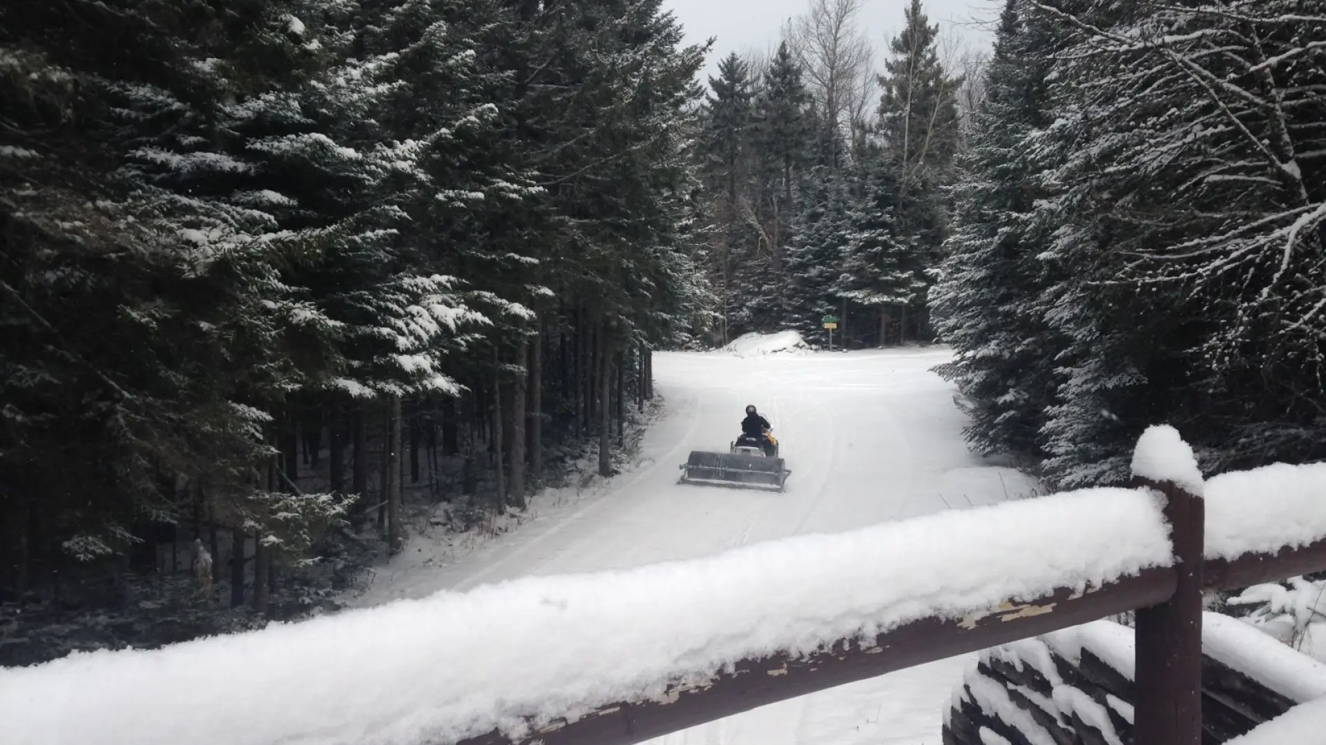 Groomers at work from bridge
