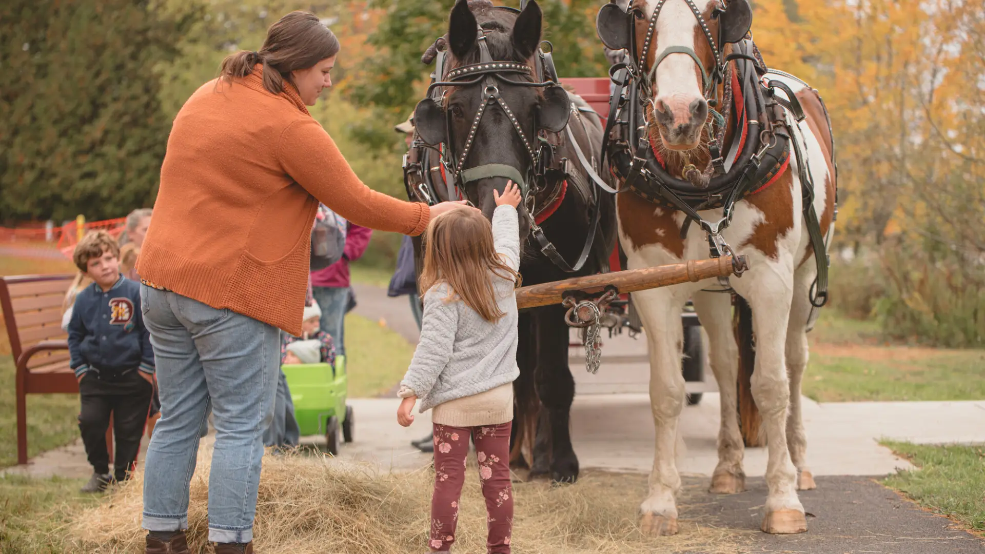 Mother and daughter pet the horses before taking a wagon ride.