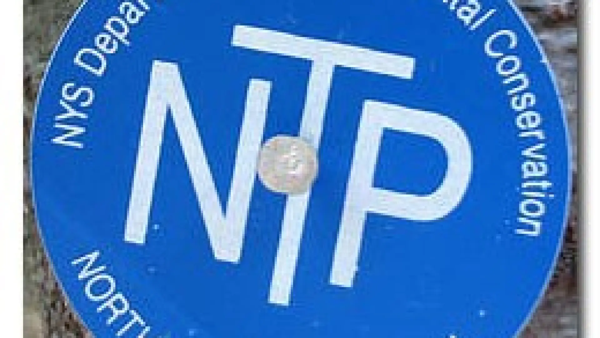 Northville-Lake Placid Trail blue marker with NTP.