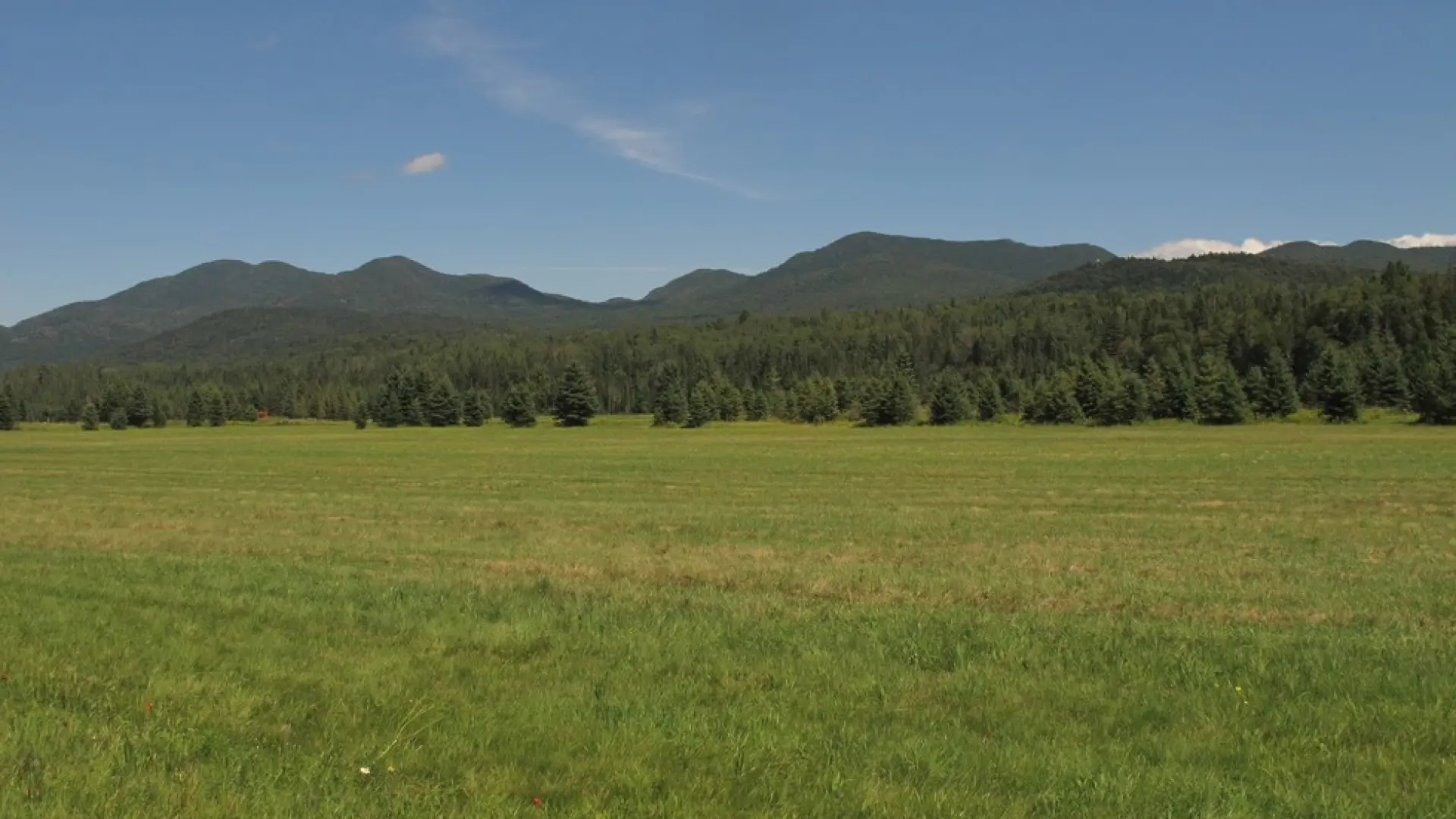 Much of this land is farmed.