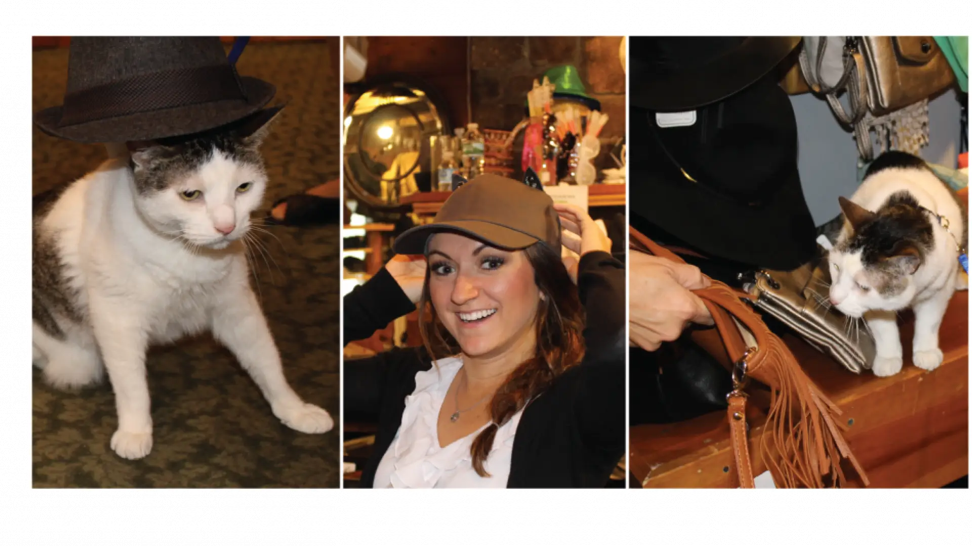SHOPPING MONTAGE!