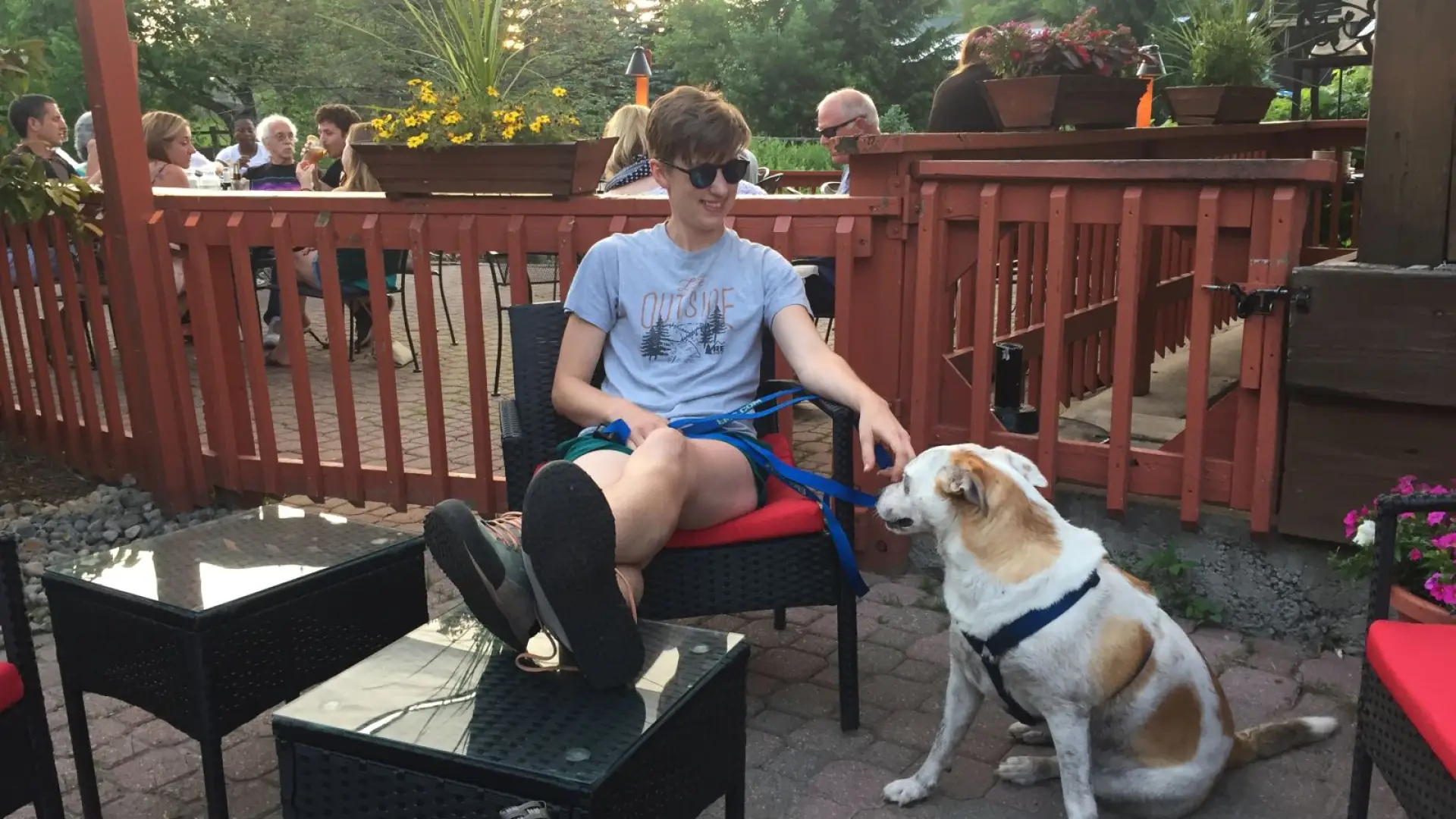 Outdoor dining with canine friends