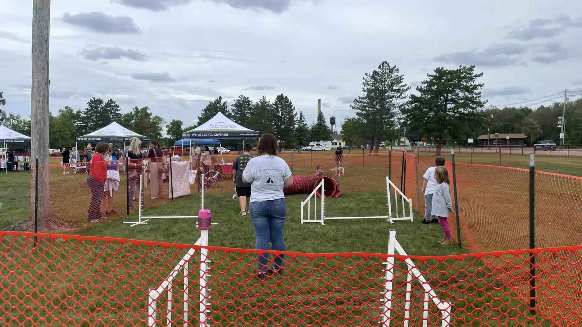 Dog maze at Bark in the Park.