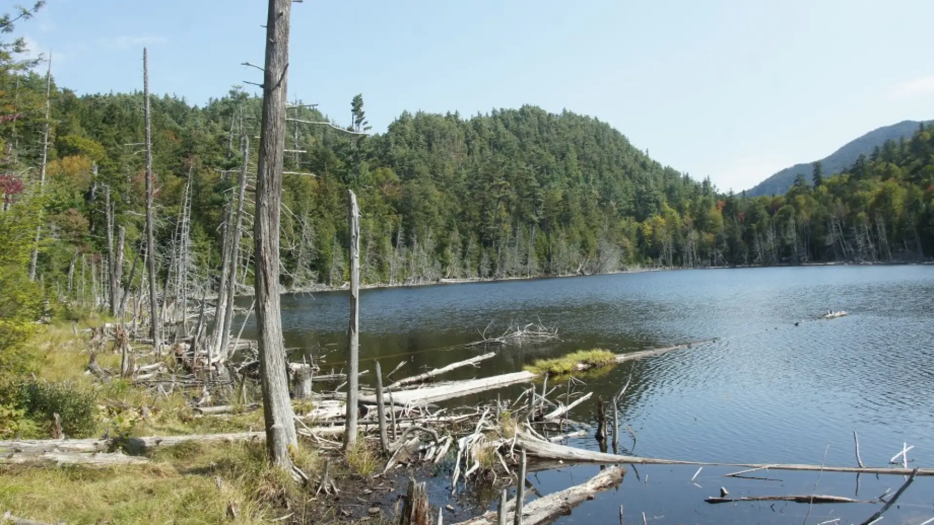 Winch Pond