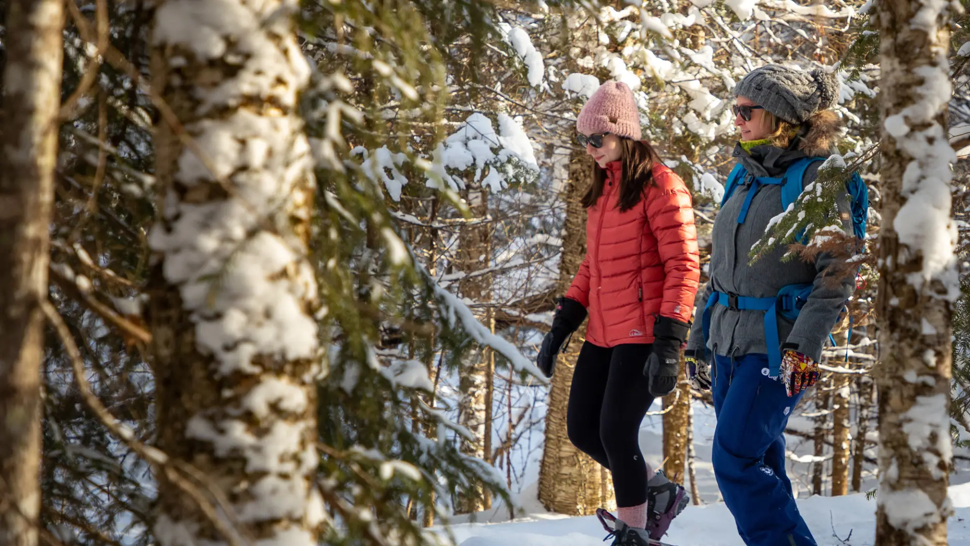 Two women snowshoe through snowy woods. 