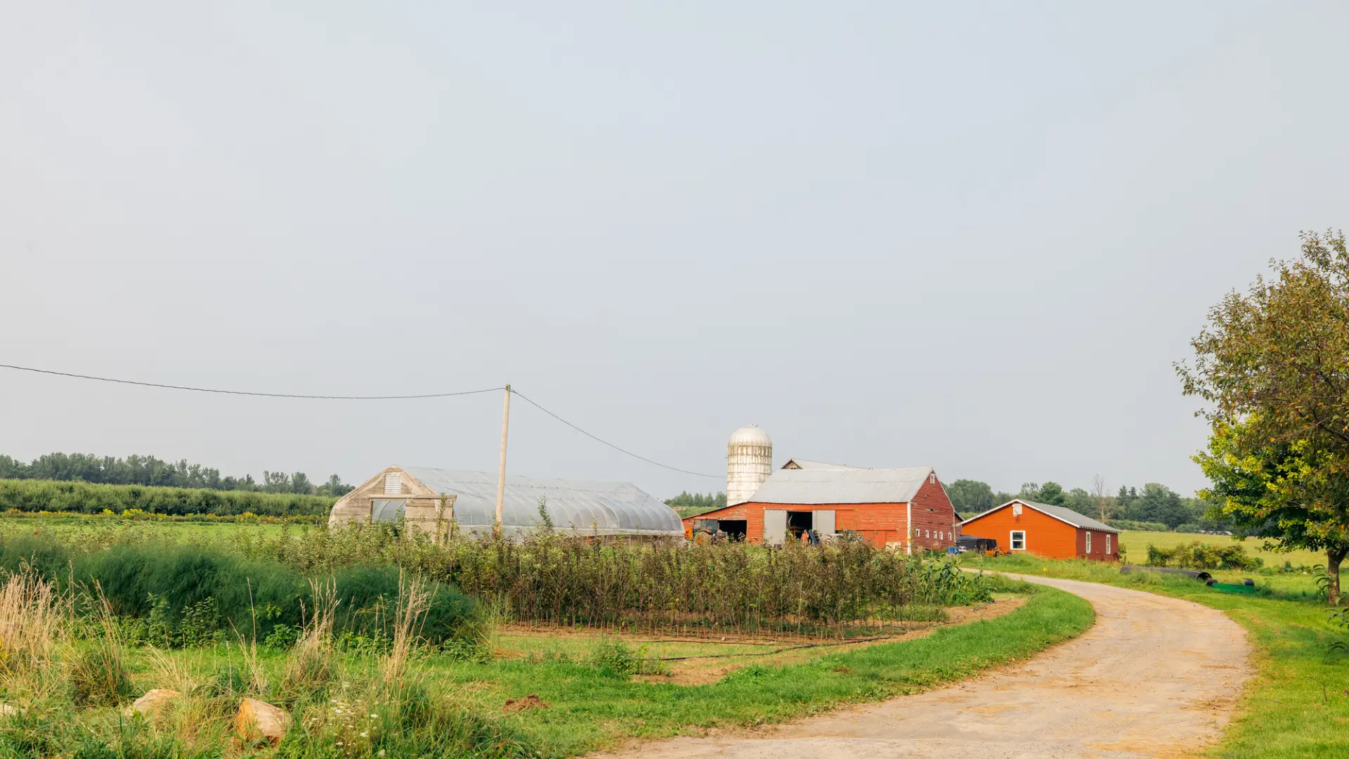 A dirt road leads up to a farm. 