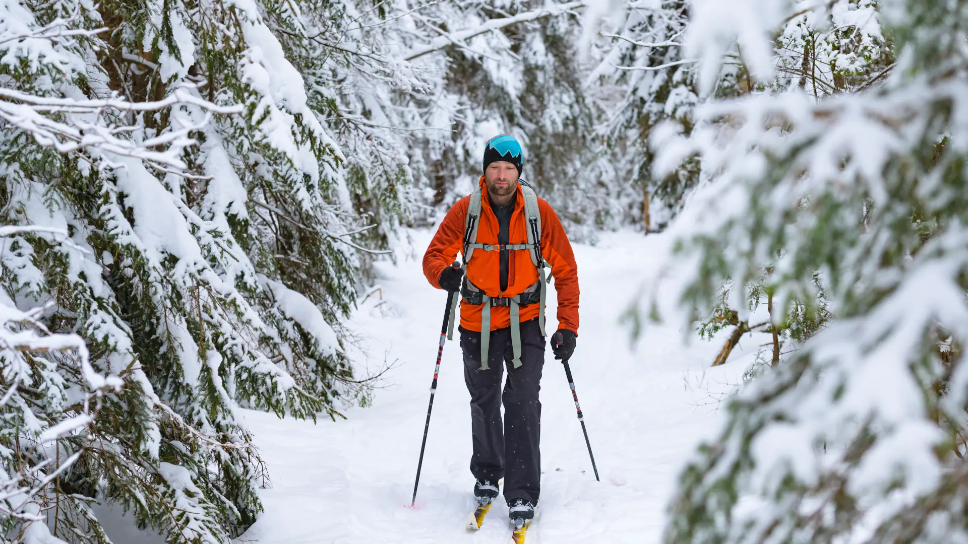 A man in an orange jacket and backpack skis through a snowy forest path, surrounded by snow-laden evergreen trees, exuding a sense of adventure.