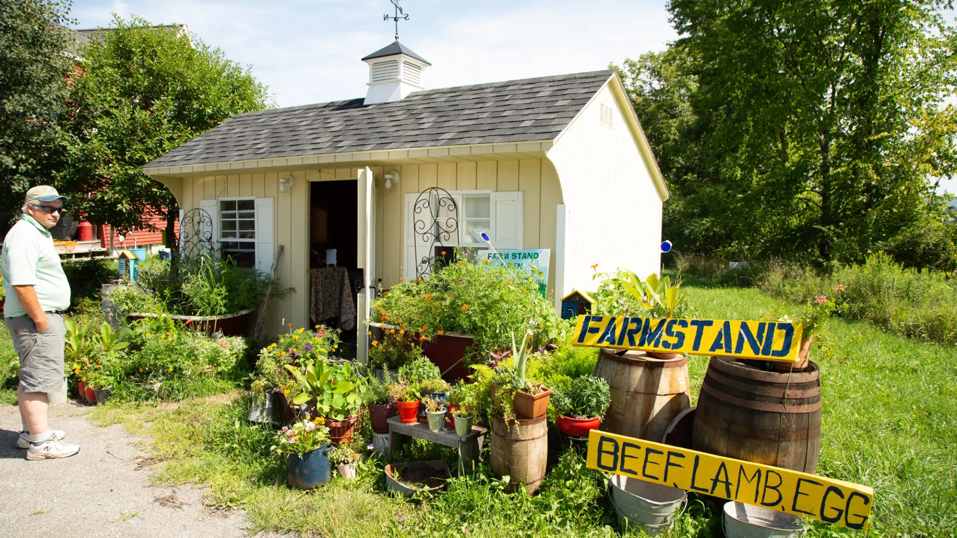 A farm stand on a sunny day surrounded by fresh produce. 