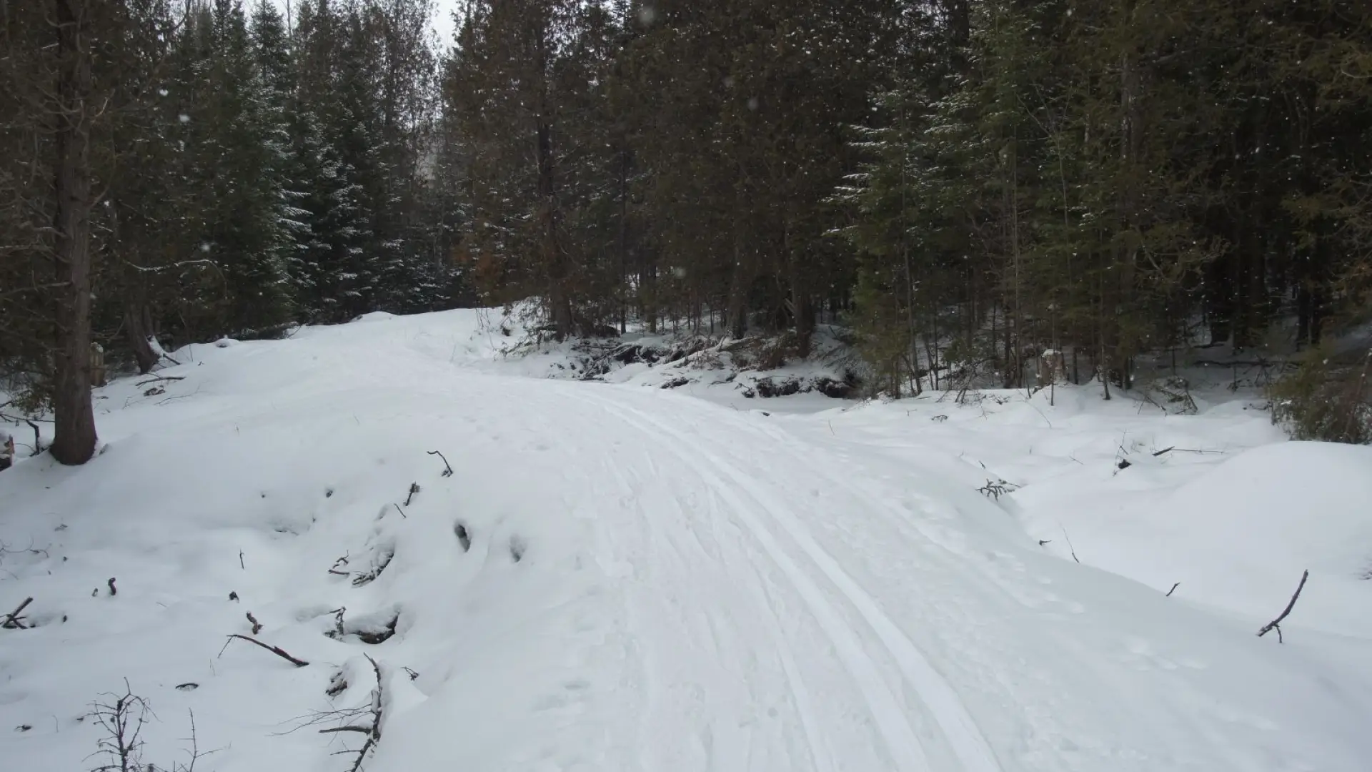 Conditions were excellent each time I went out skiing.