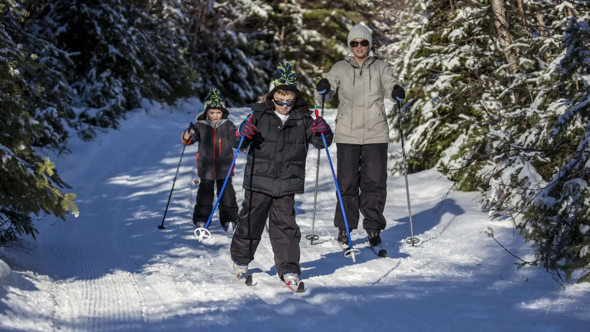 A family of three cross-country skis down a snowy trail surrounded by evergreens.