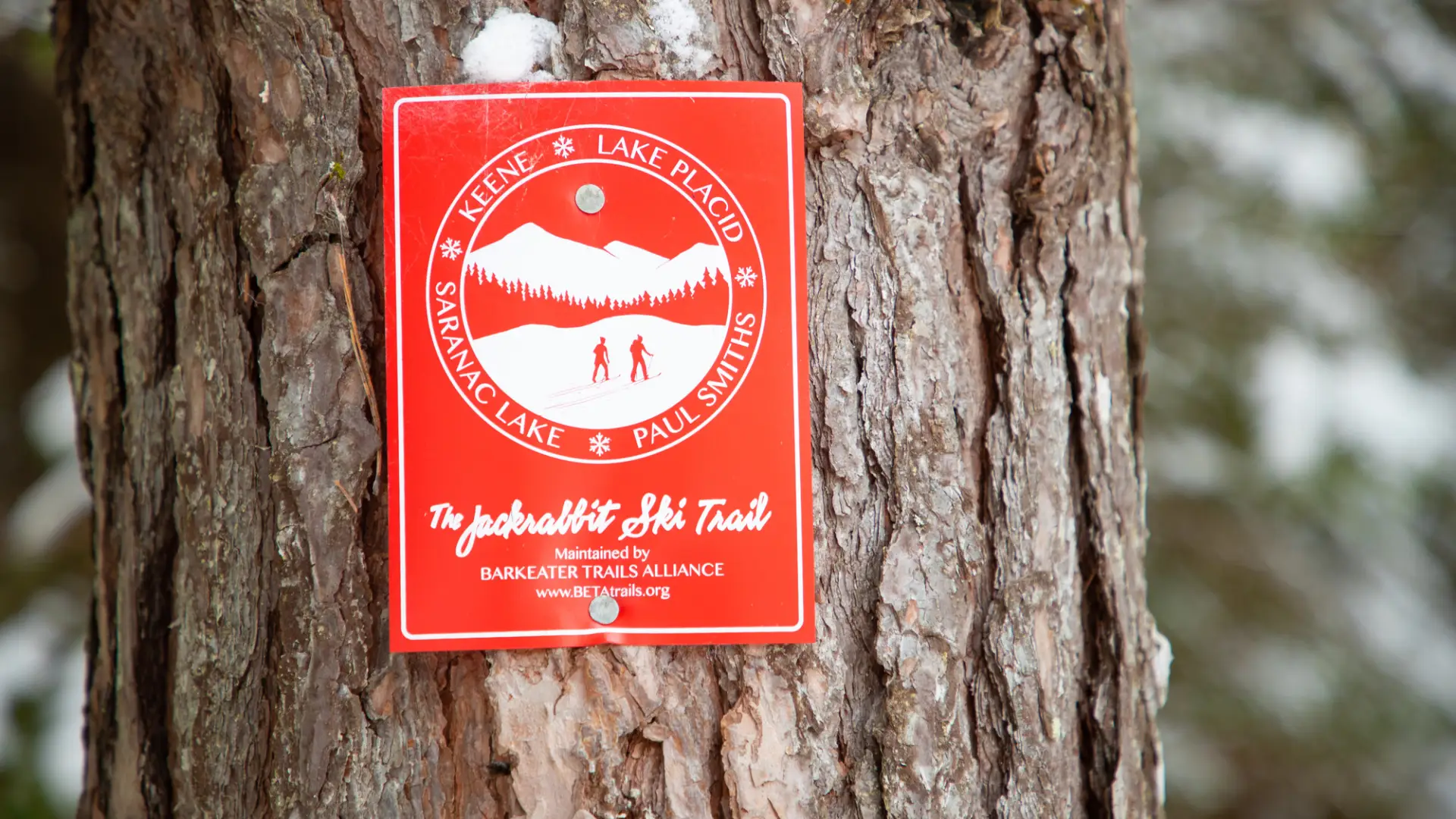 A rectangular trail marker for the Jackrabbit Trail.