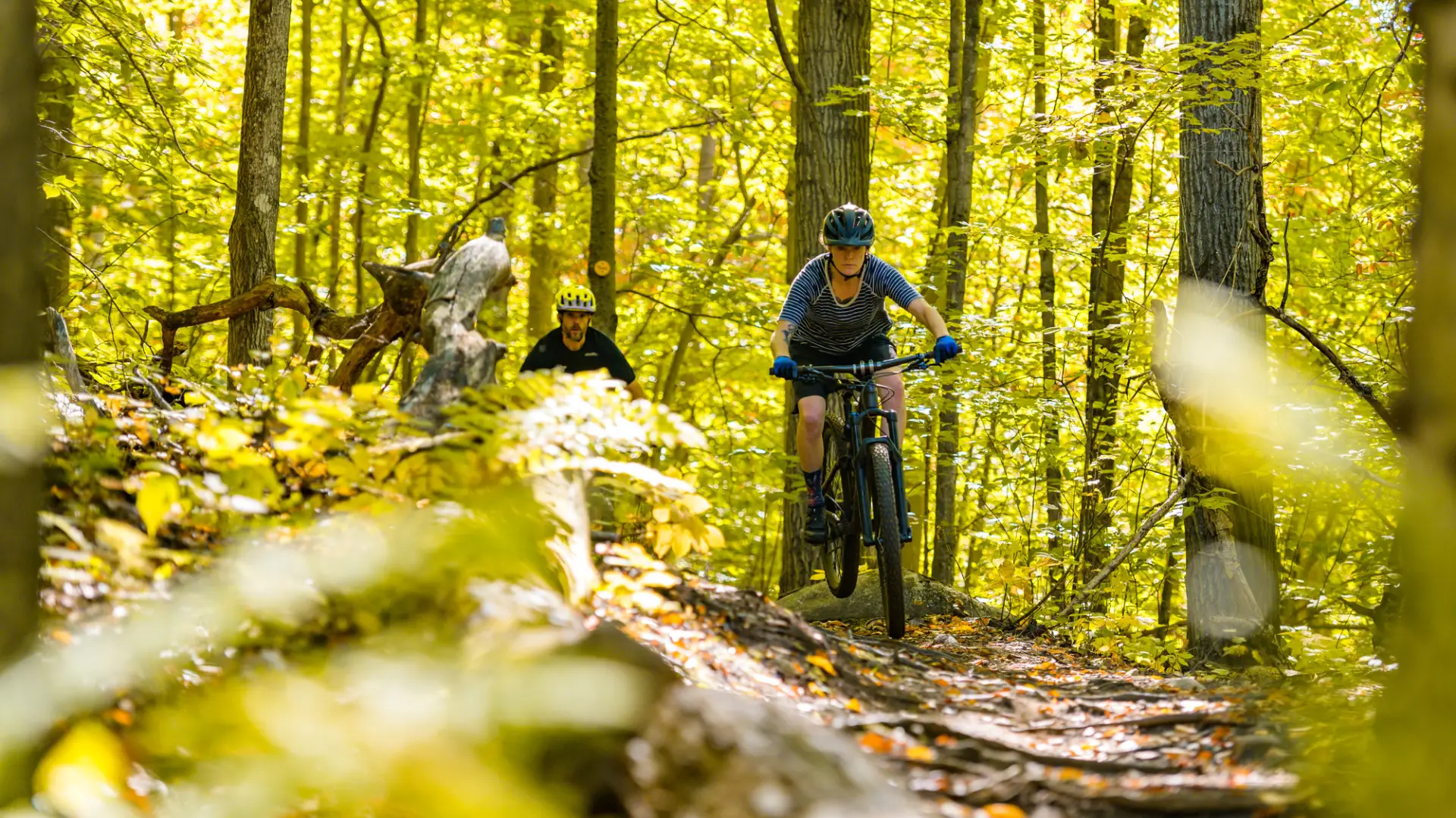 Mountain bikers in the woods
