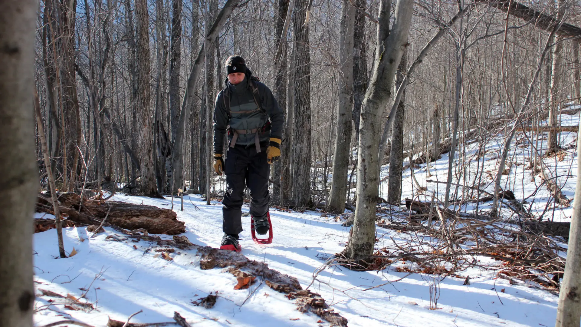 A man shoeshoes along the trail of Bear Den Mountain