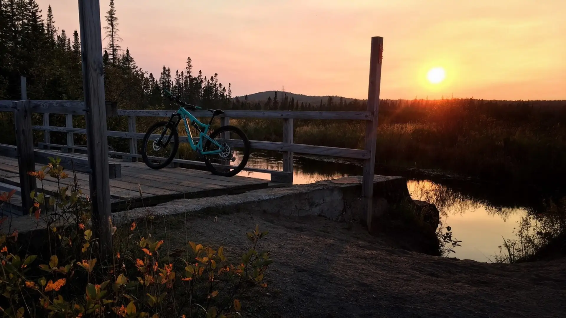 Walk, bike, or ski the Bloomingdale Bog trail in the Adirondacks.