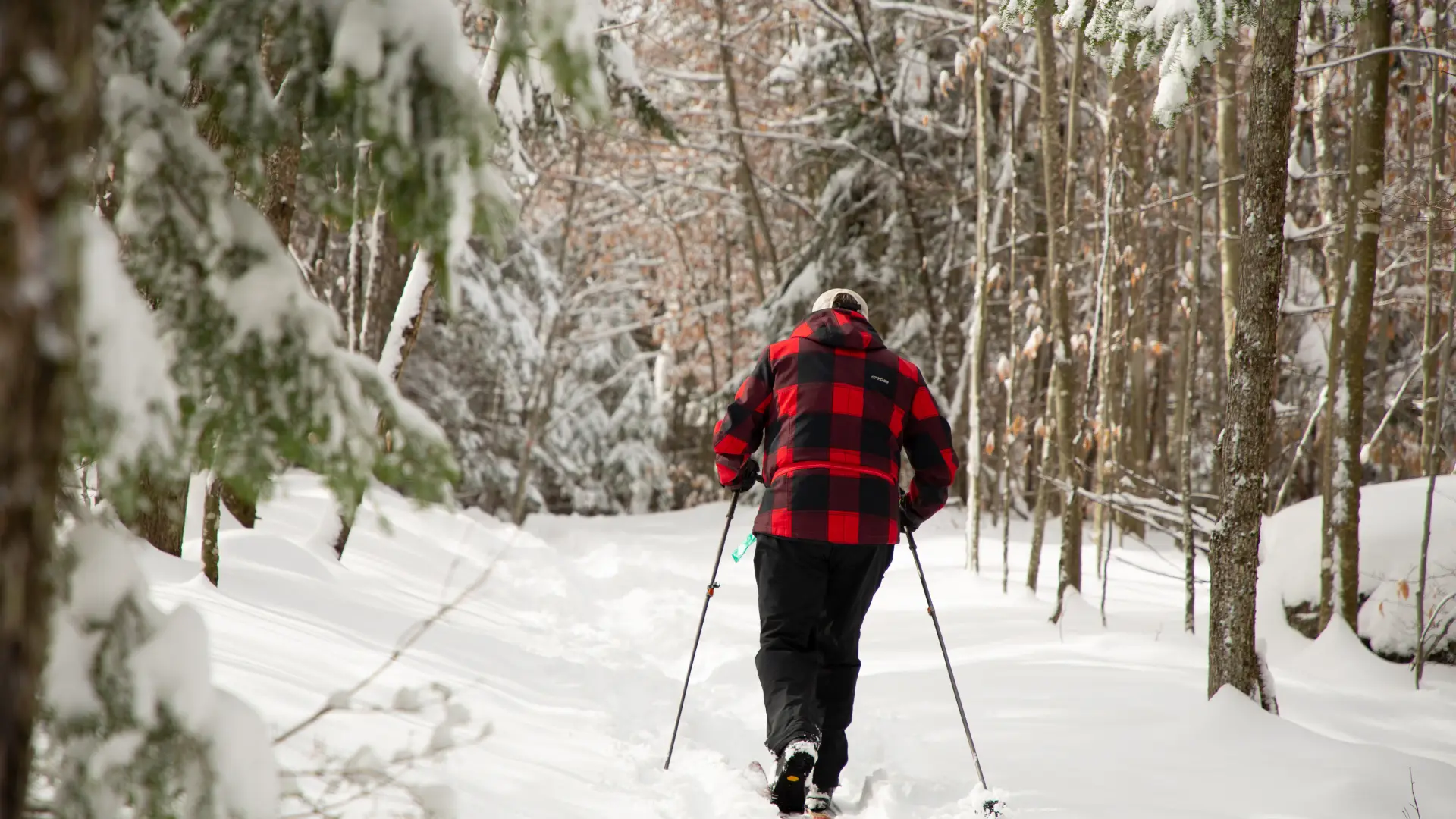 These multi-use trails are available in the winter.