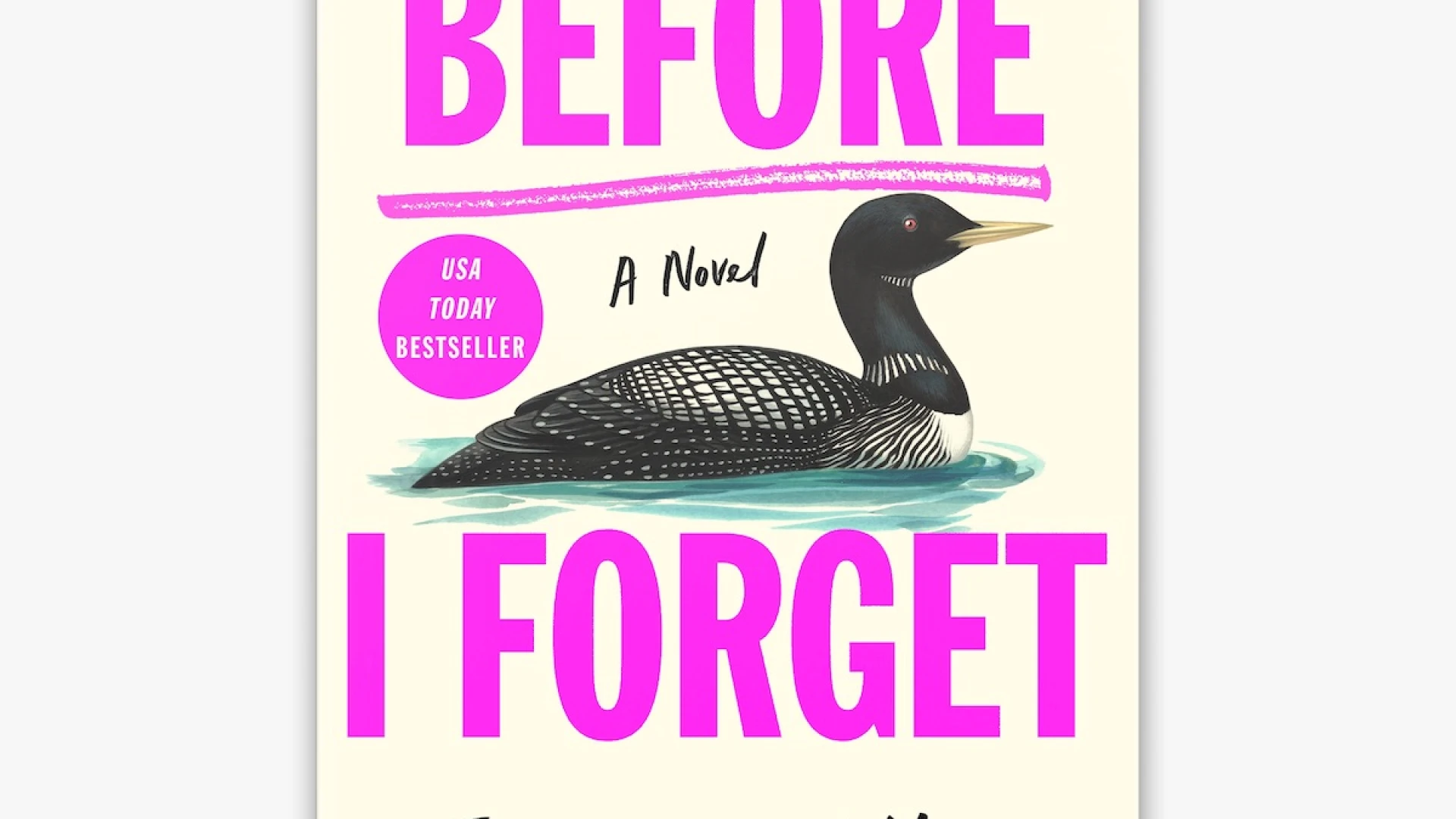 Before I Forget book cover