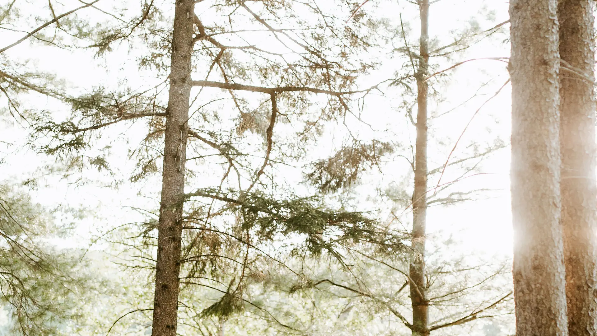 Image courtesy Geoff and Lyndsi Photography.
