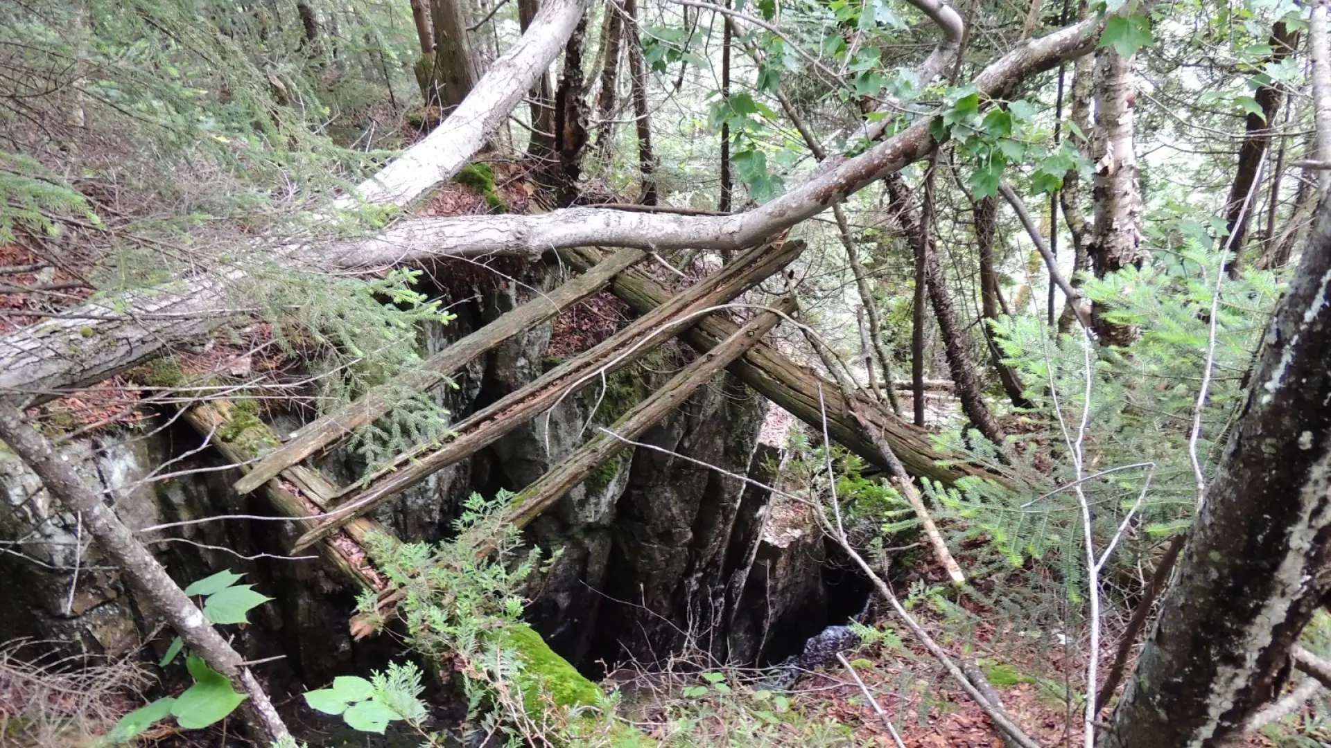The old bridge