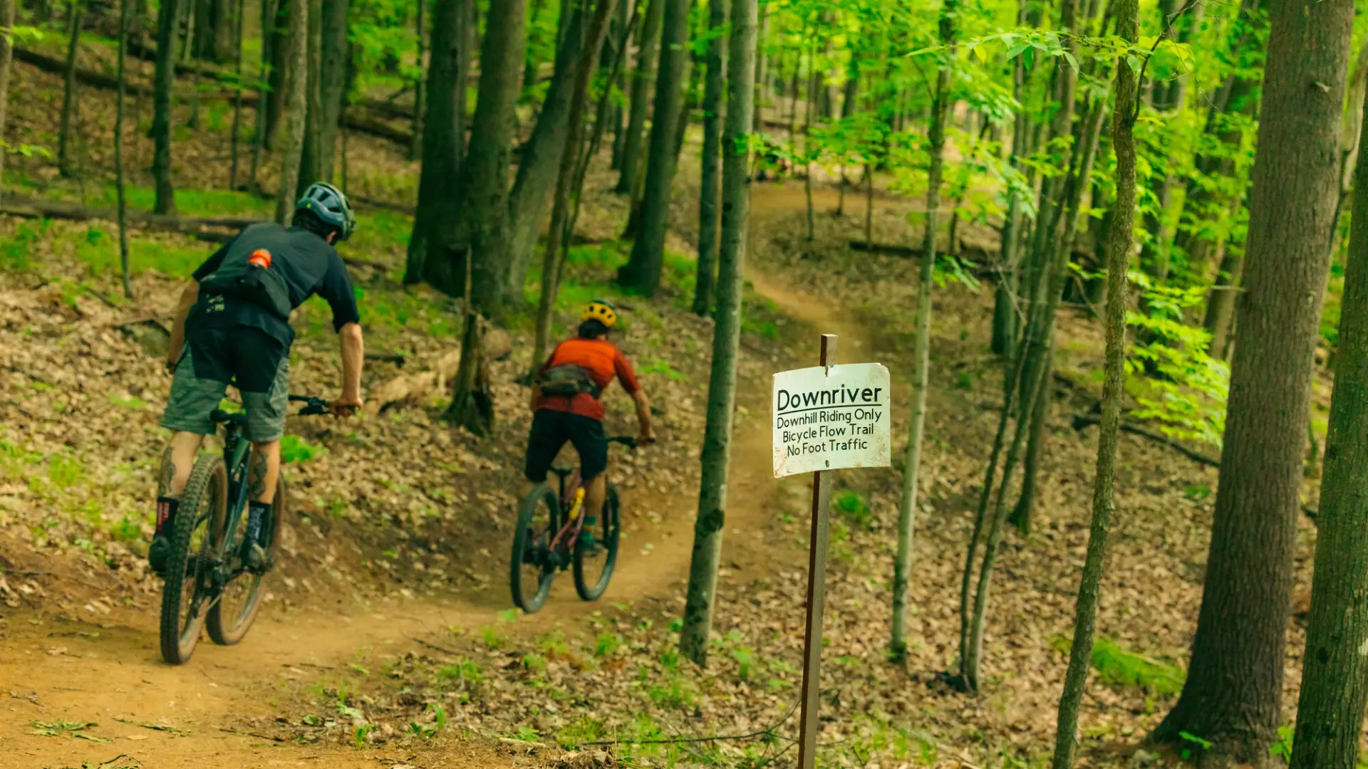 Two mountain bikers enter a trail system