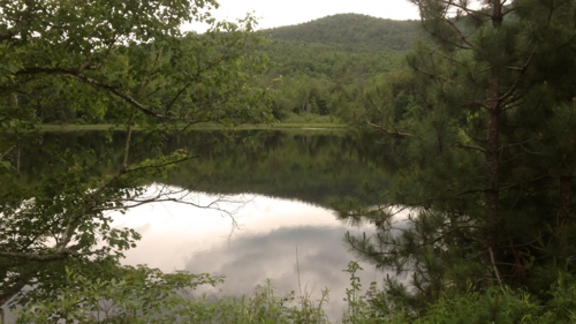 View of pond on Tracy Road