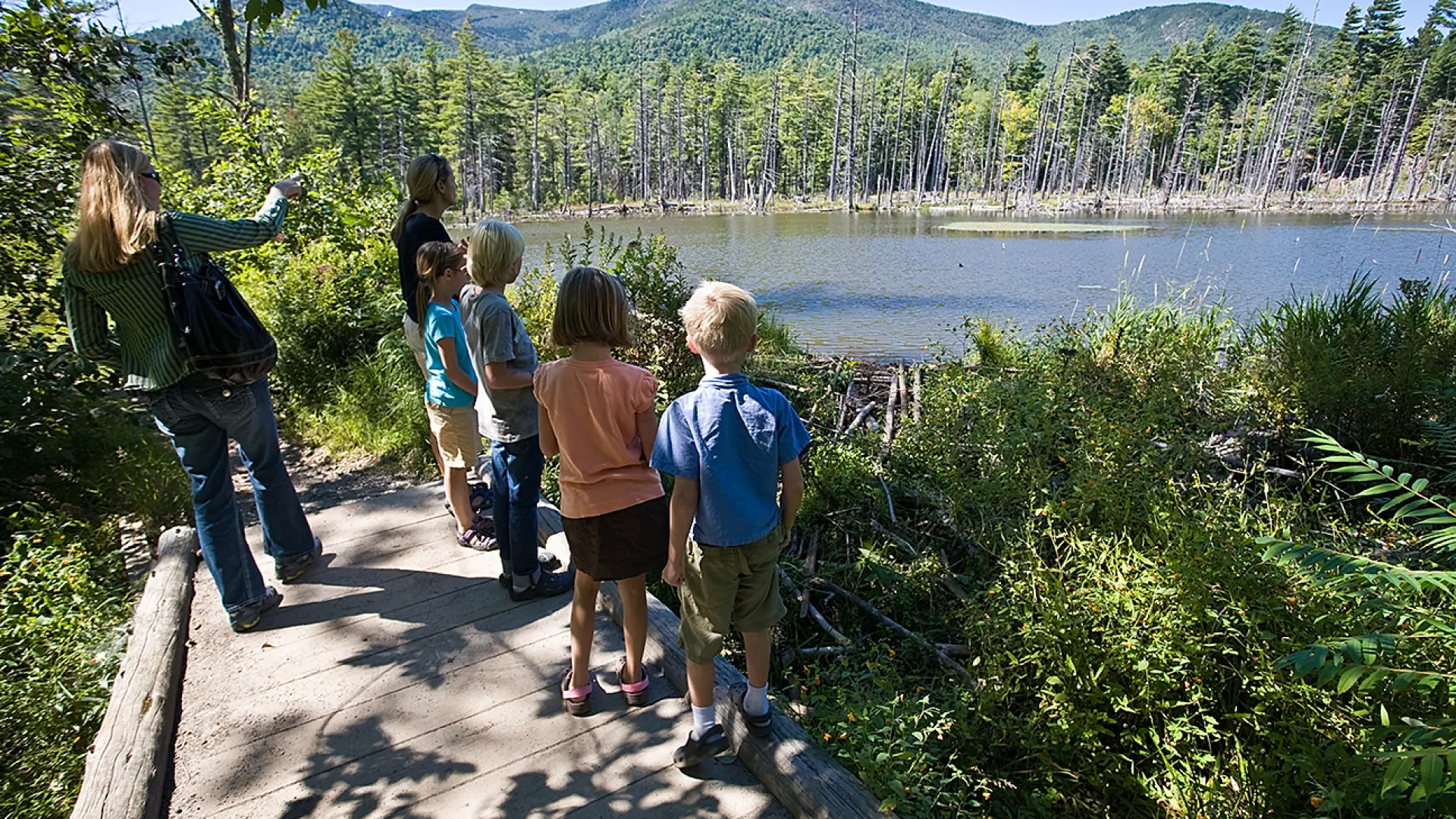 A group of kids and an adult at a scenic overlook of a lake
