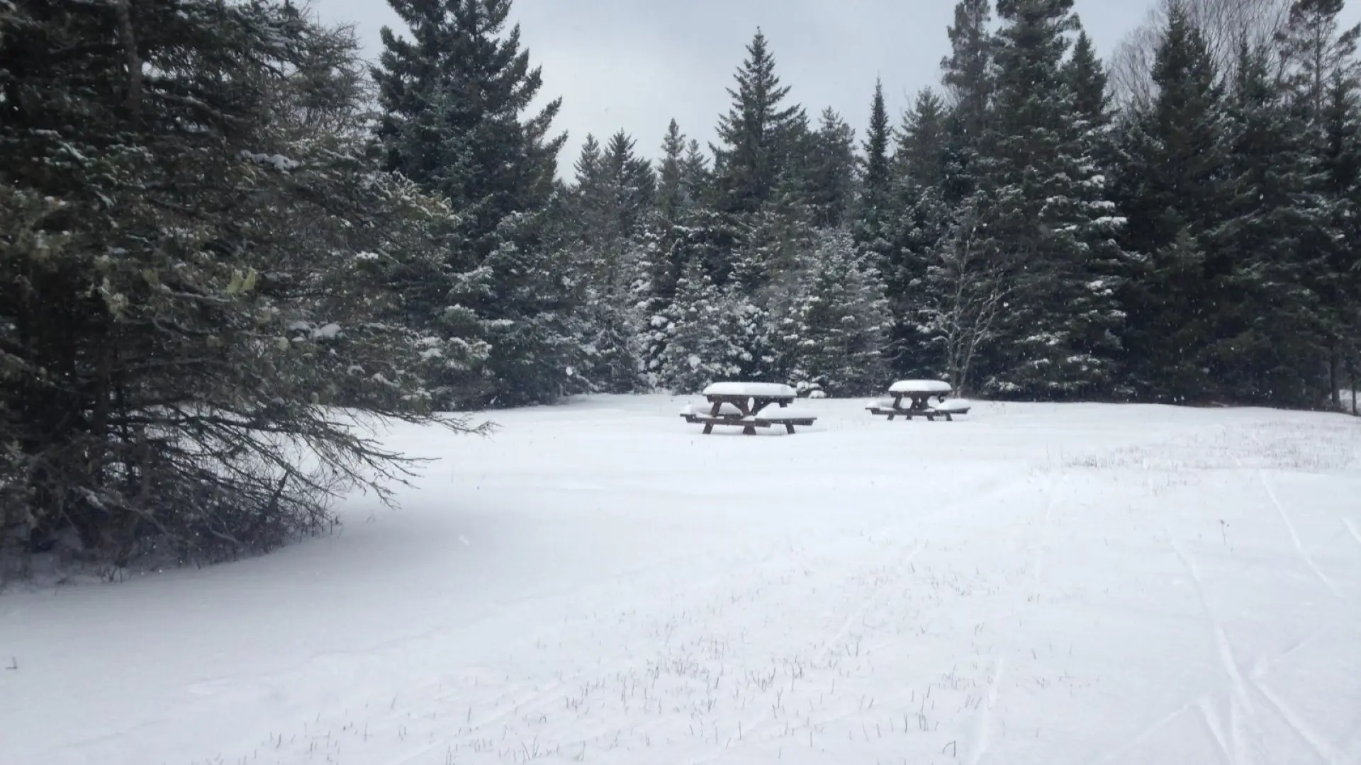 Van Ho Picnic Spot!