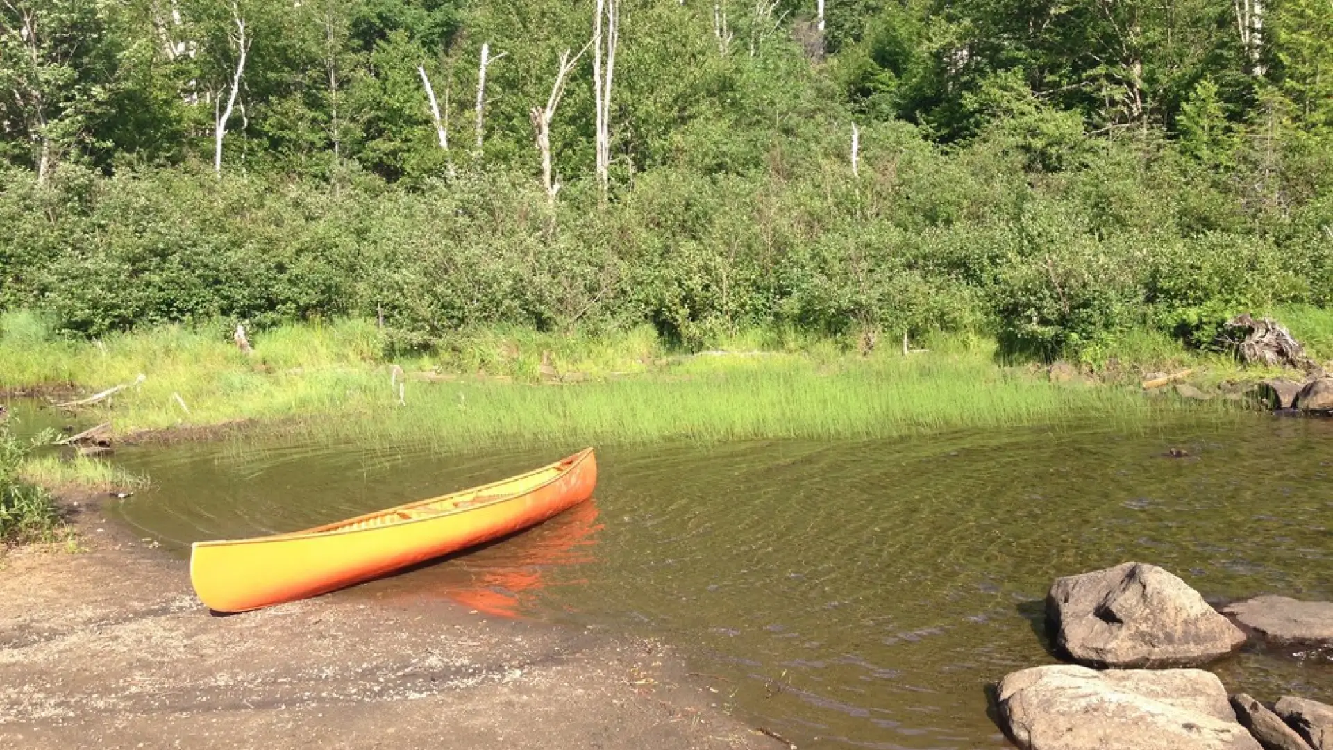 A canoe halfway in the water.