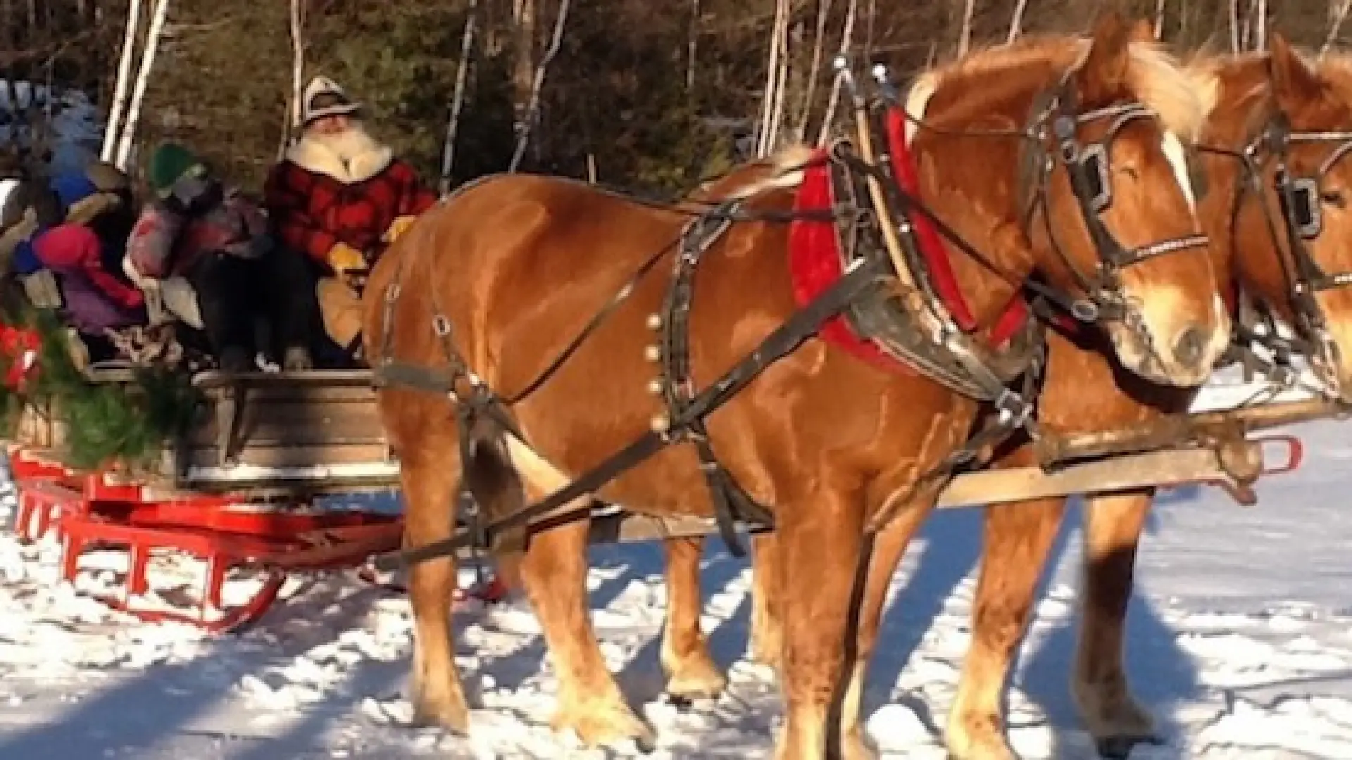 Sleigh bells do jingle!