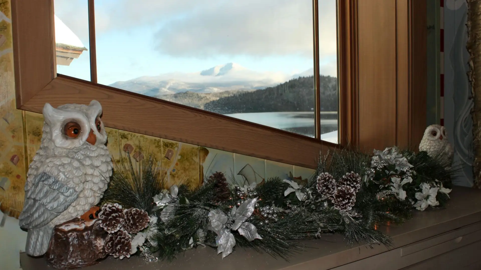 Hoooo's up for a view of Whiteface Mountain?