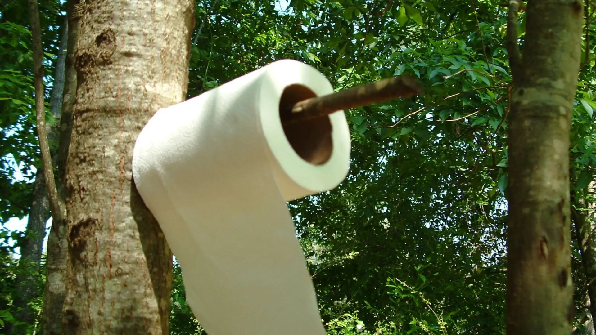 Don't count on finding this in the woods — always be prepared.