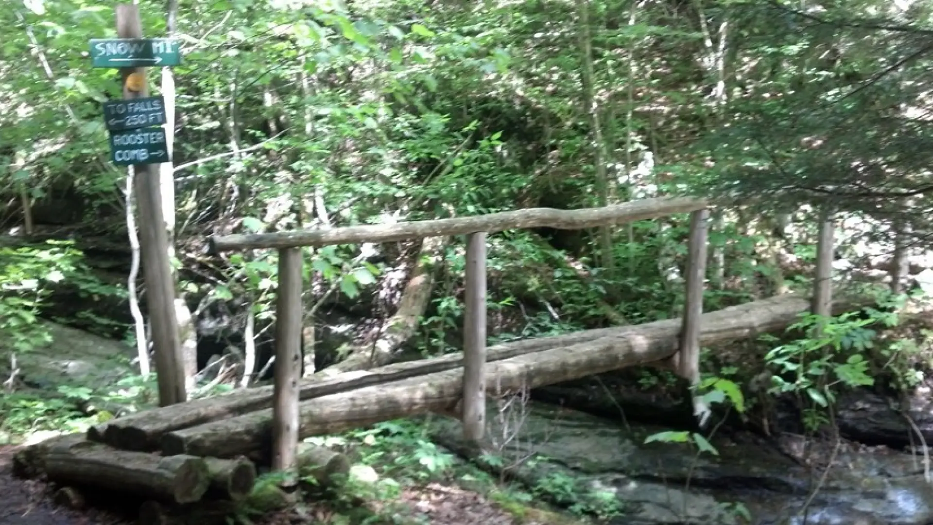 Clear trail markers and bridges over some tricky bits.