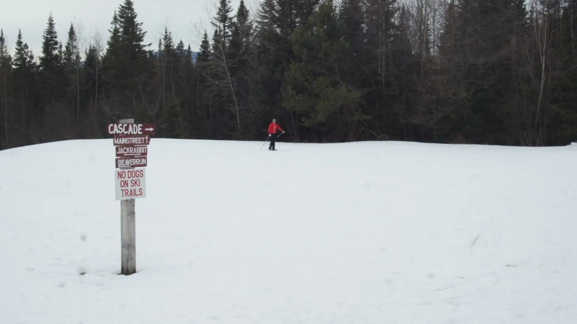 Cascade Sign