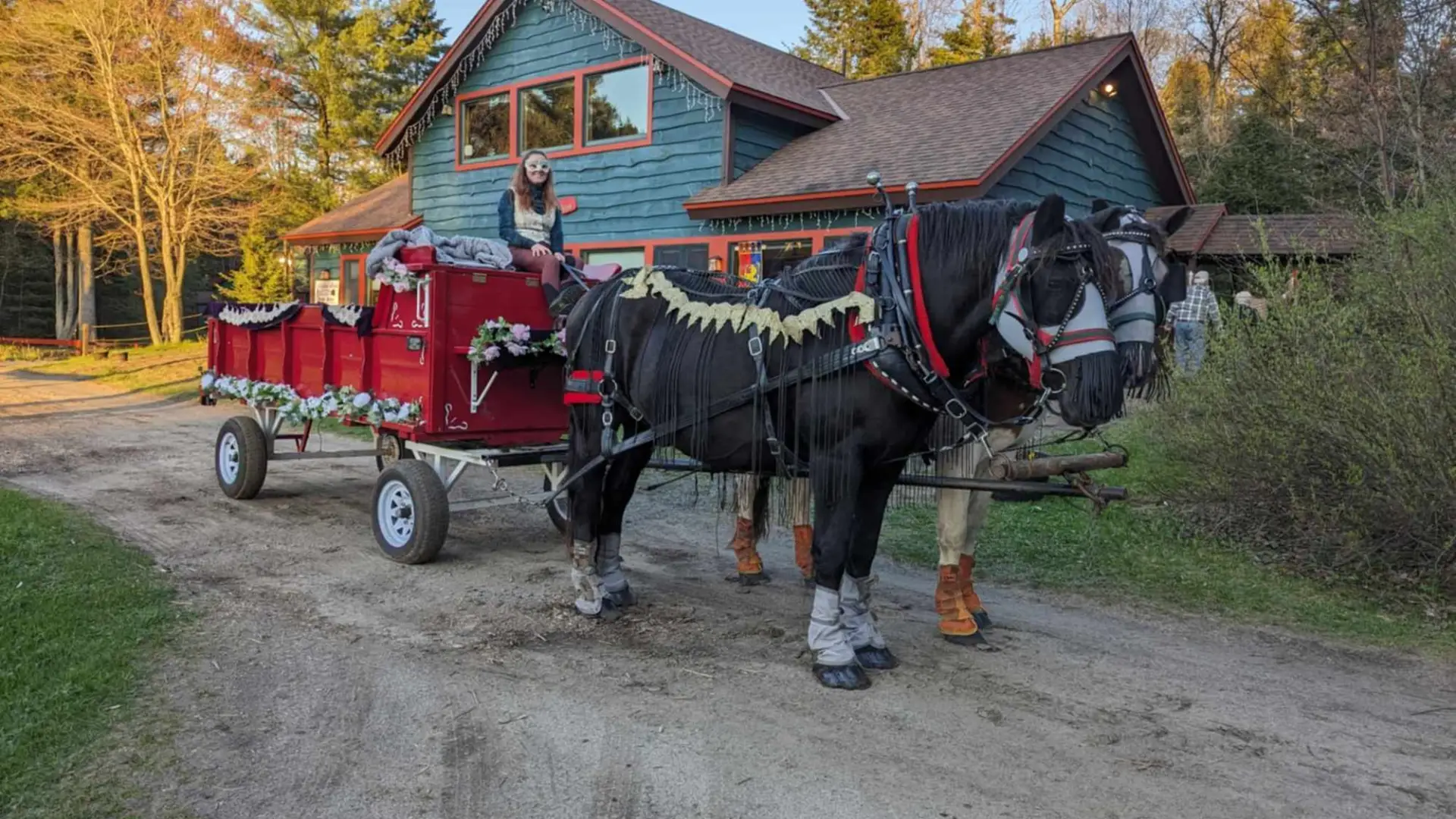 A woman sits in a red wagon pulled by two horses in front of a green building.  