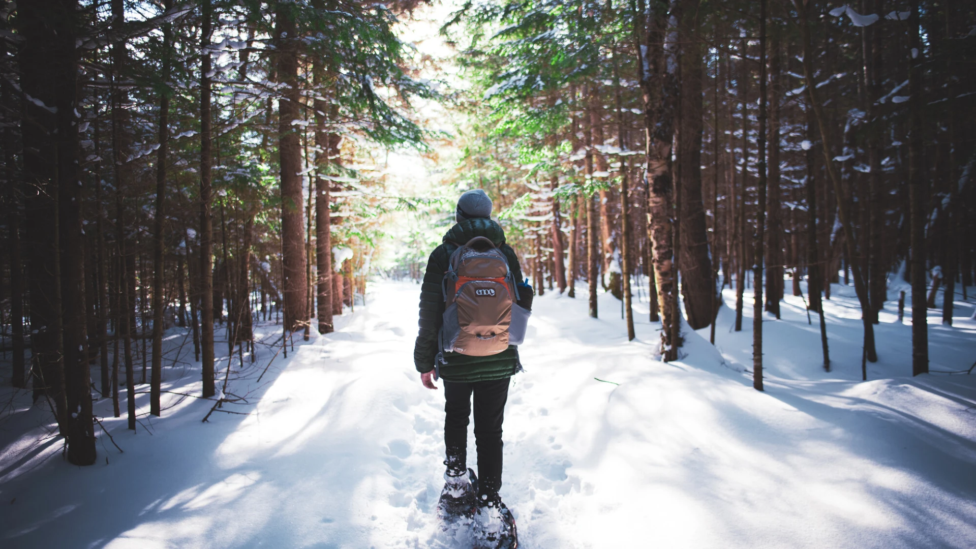 Snowshoeing on a winter trail.