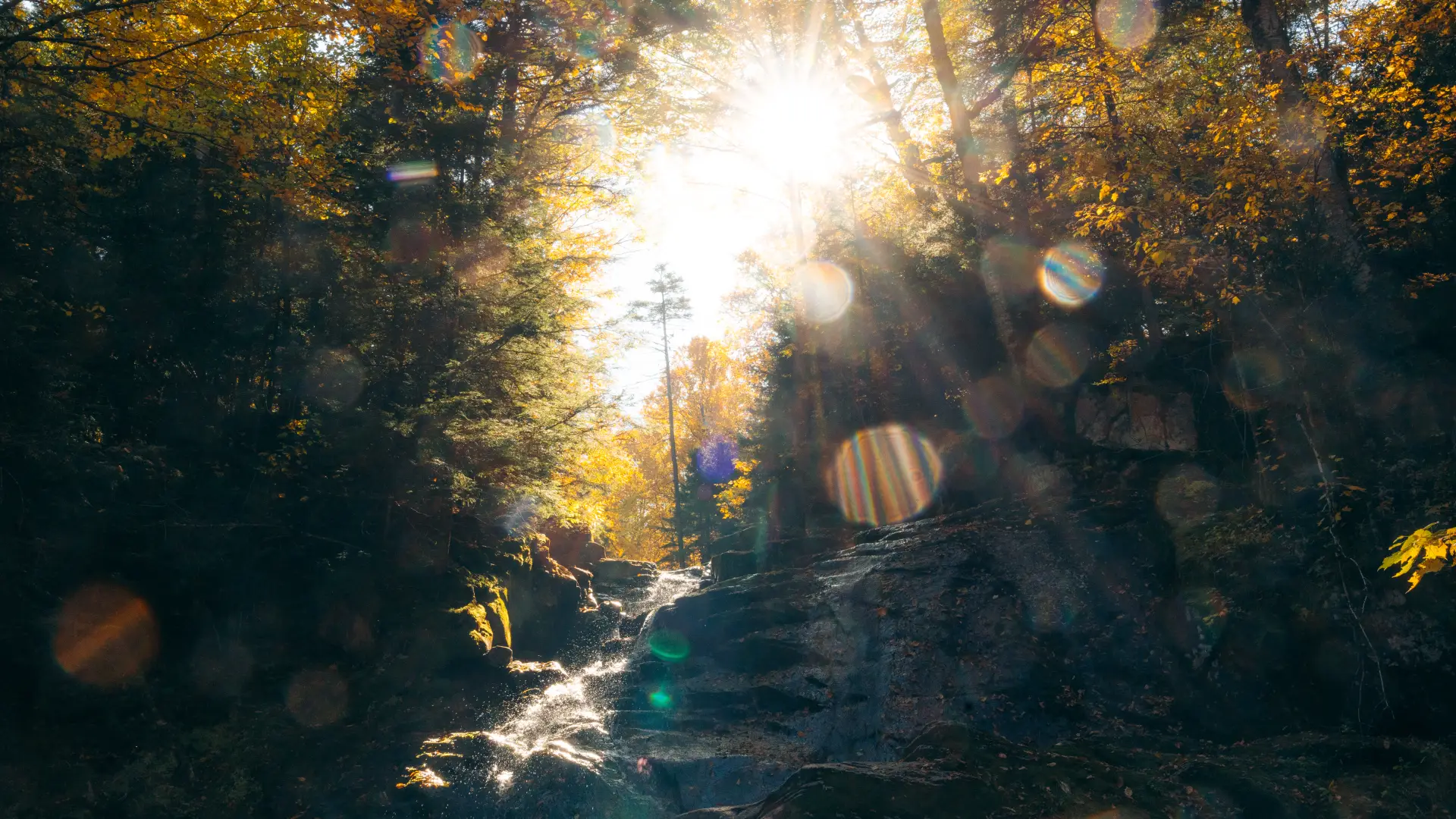 A waterfall with the sun illuminating all surroundings