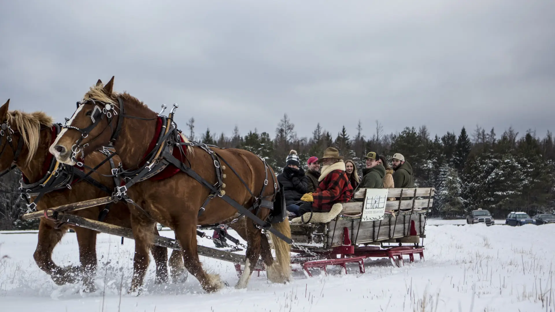 A horse drawn sleigh in the snow