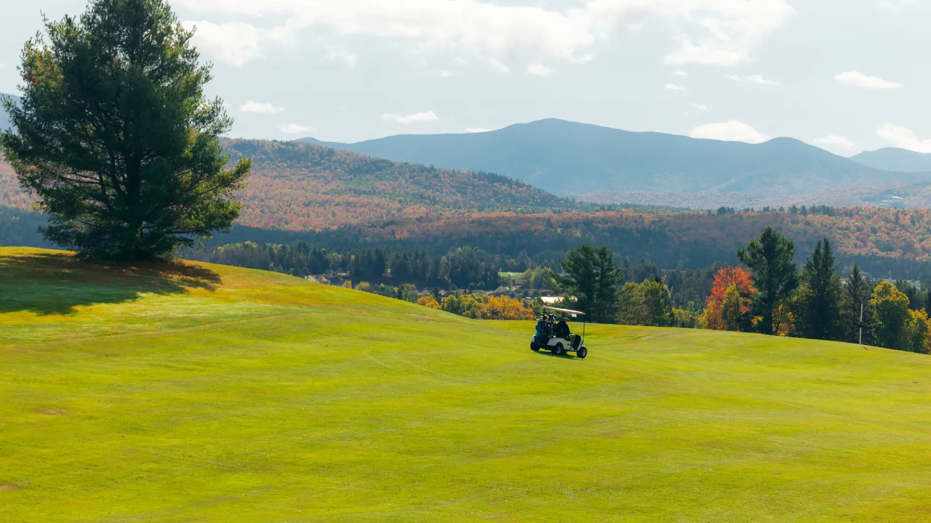 A golf cart riding down the green with fall foliage in the background.