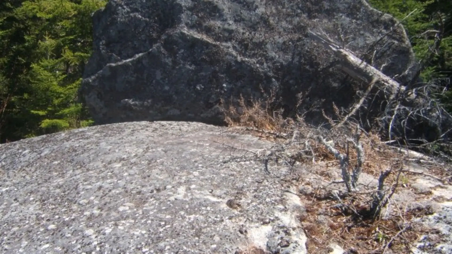 Open Rock