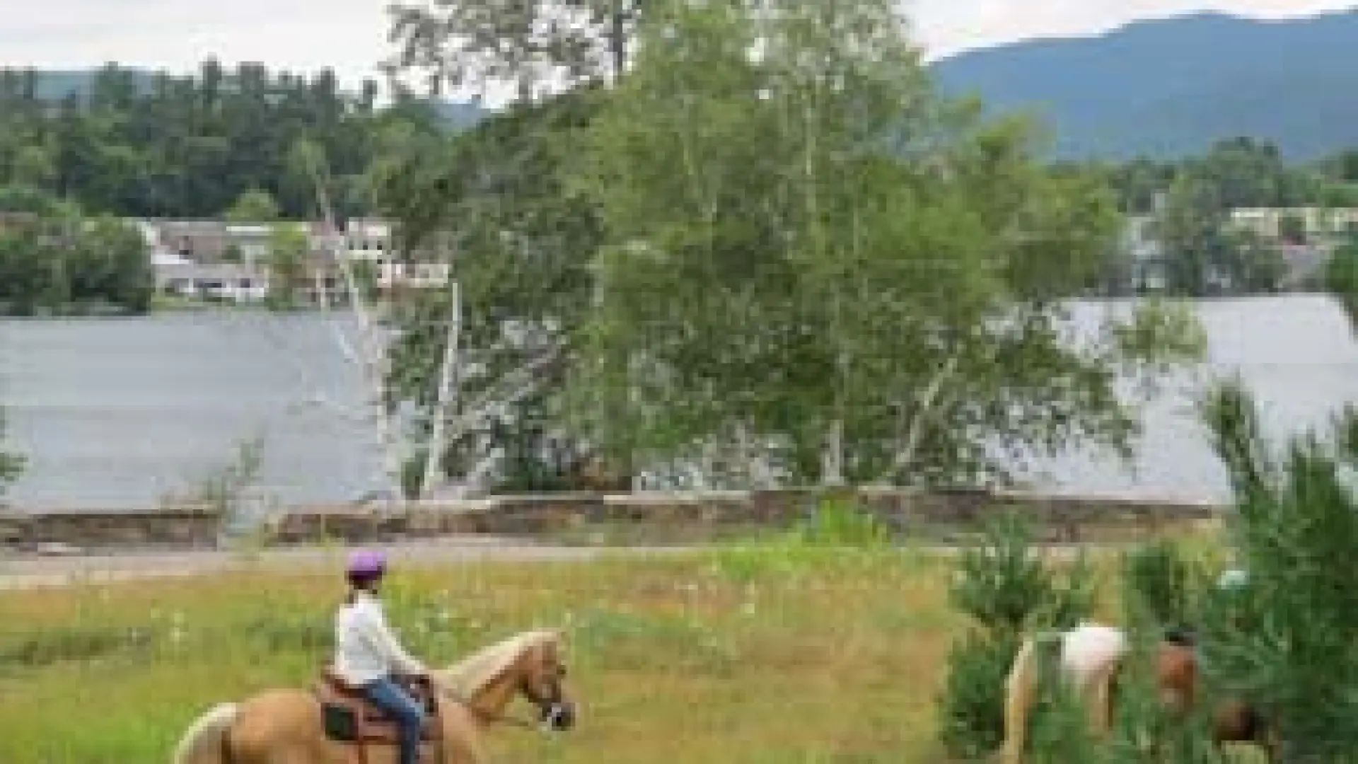 horsetrail