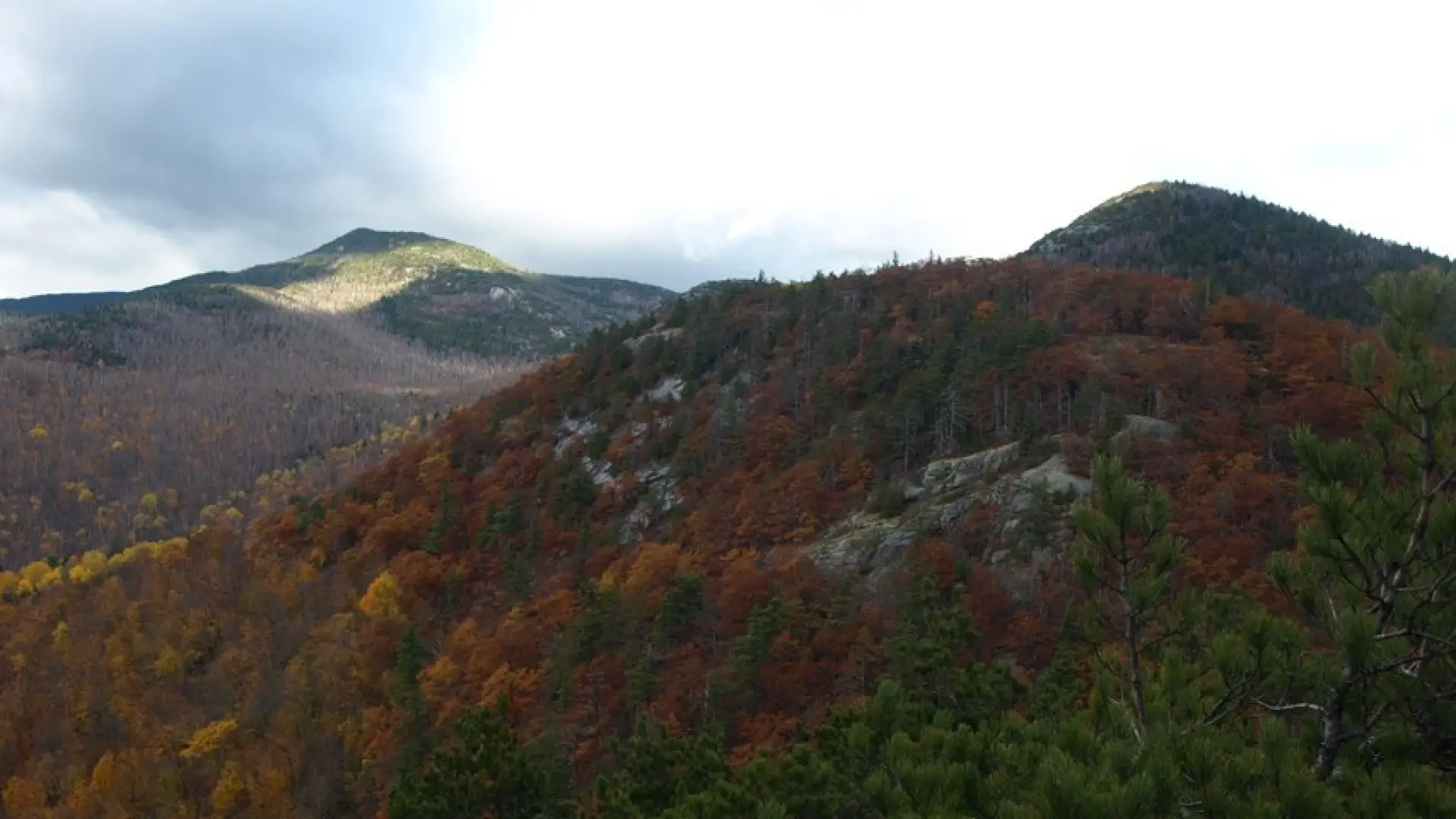 Enjoy the rich play of color even in the late fall.