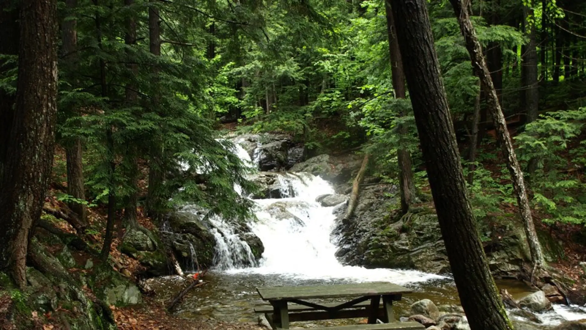 A pool at the bottom of a waterfall