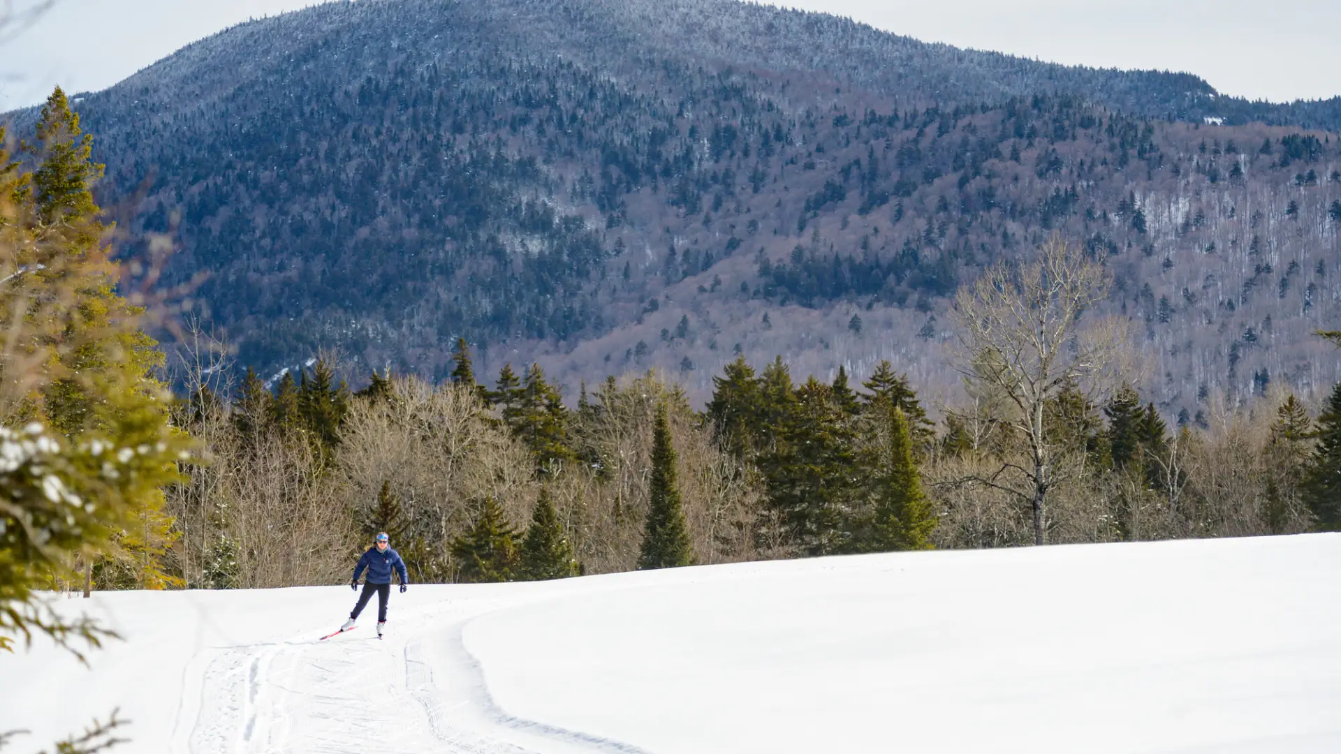 A man cross-country skis in an open field. 